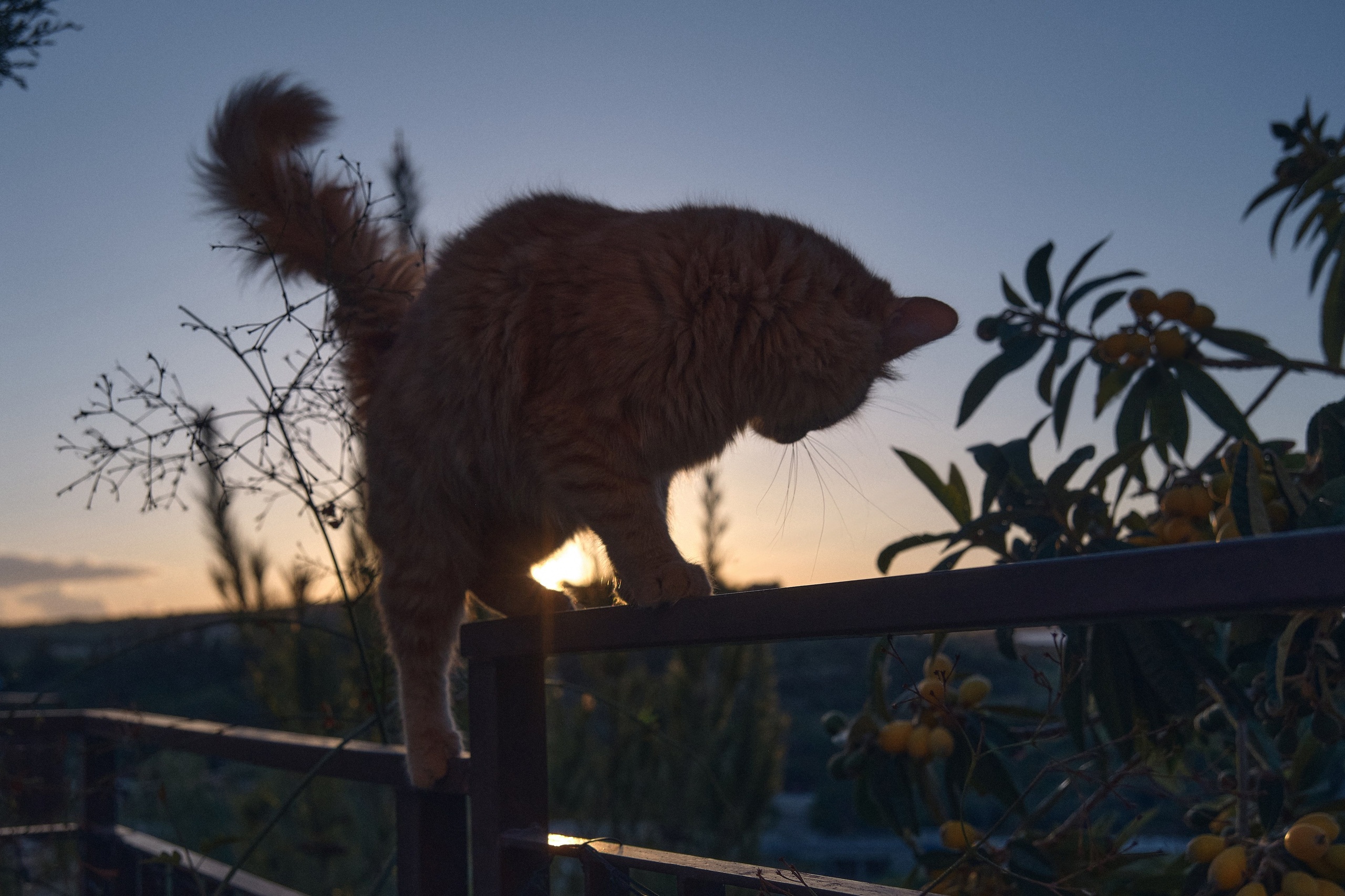 Cyprus 2024 / march. Aleksandr Kobtsev