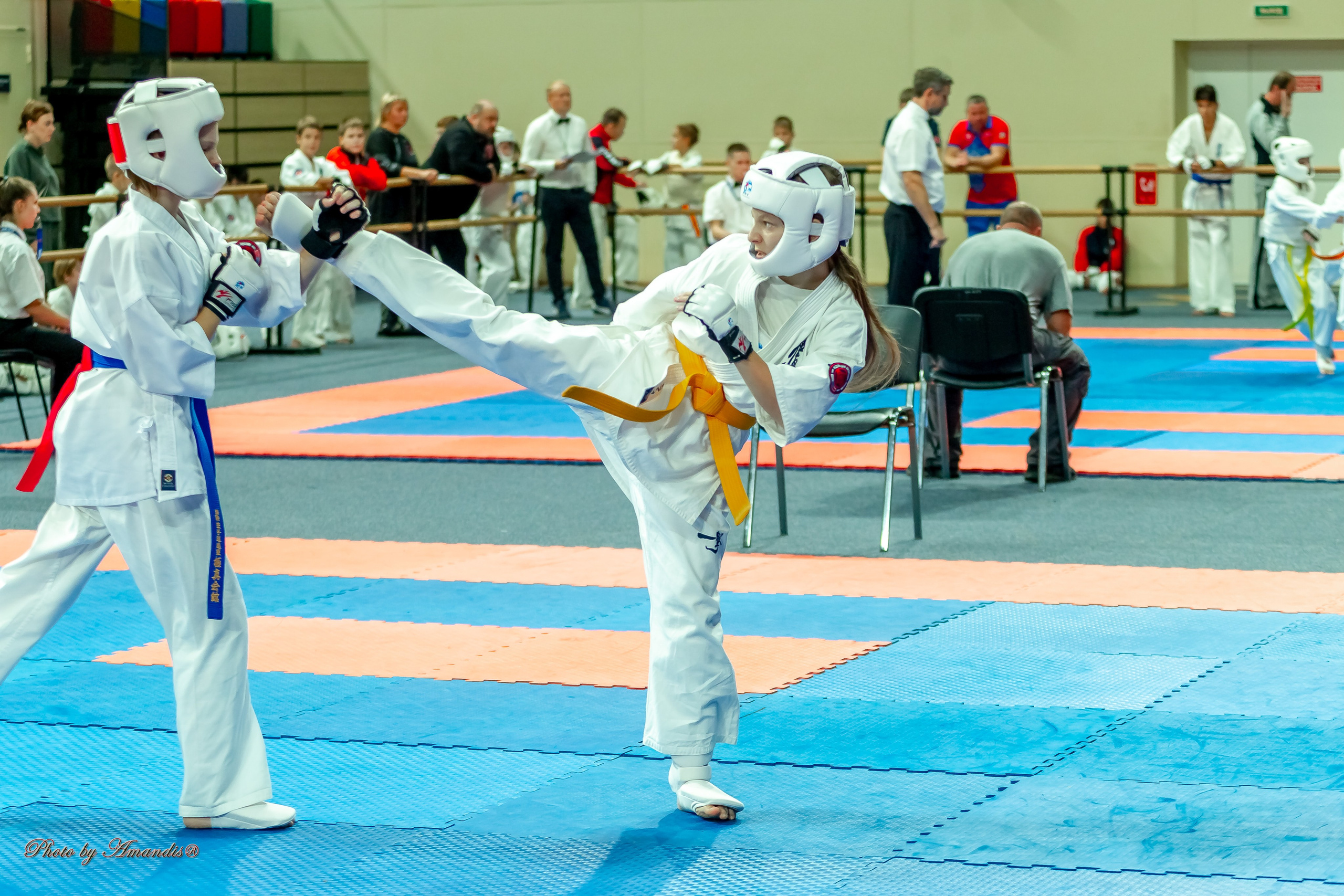 Первенство Московской области по Киокушин в СК «Жаворонки». Репортажная съемка в Москве и области. Анималистика