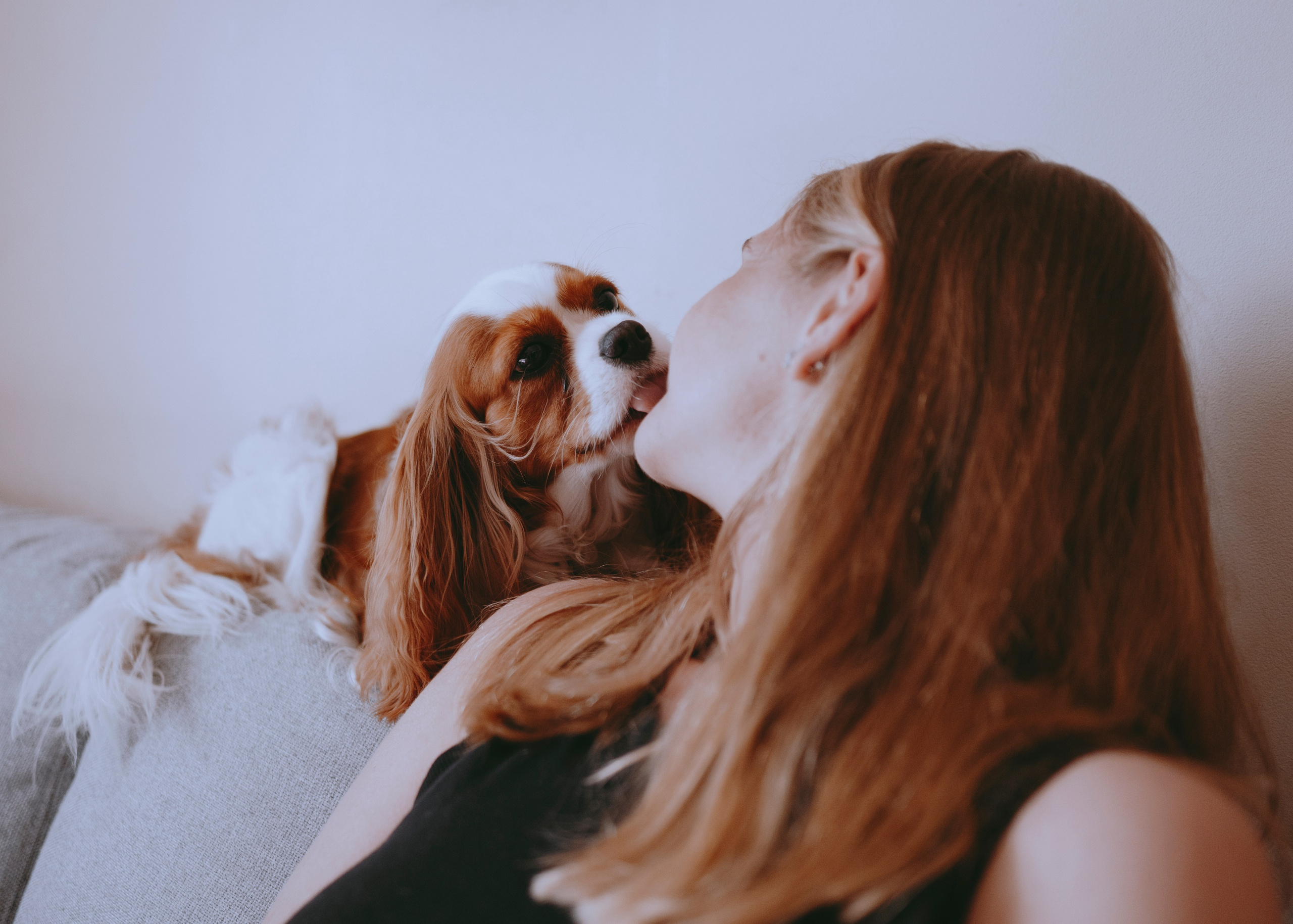 Дольче. Фотограф- анималист Александра Матвеева