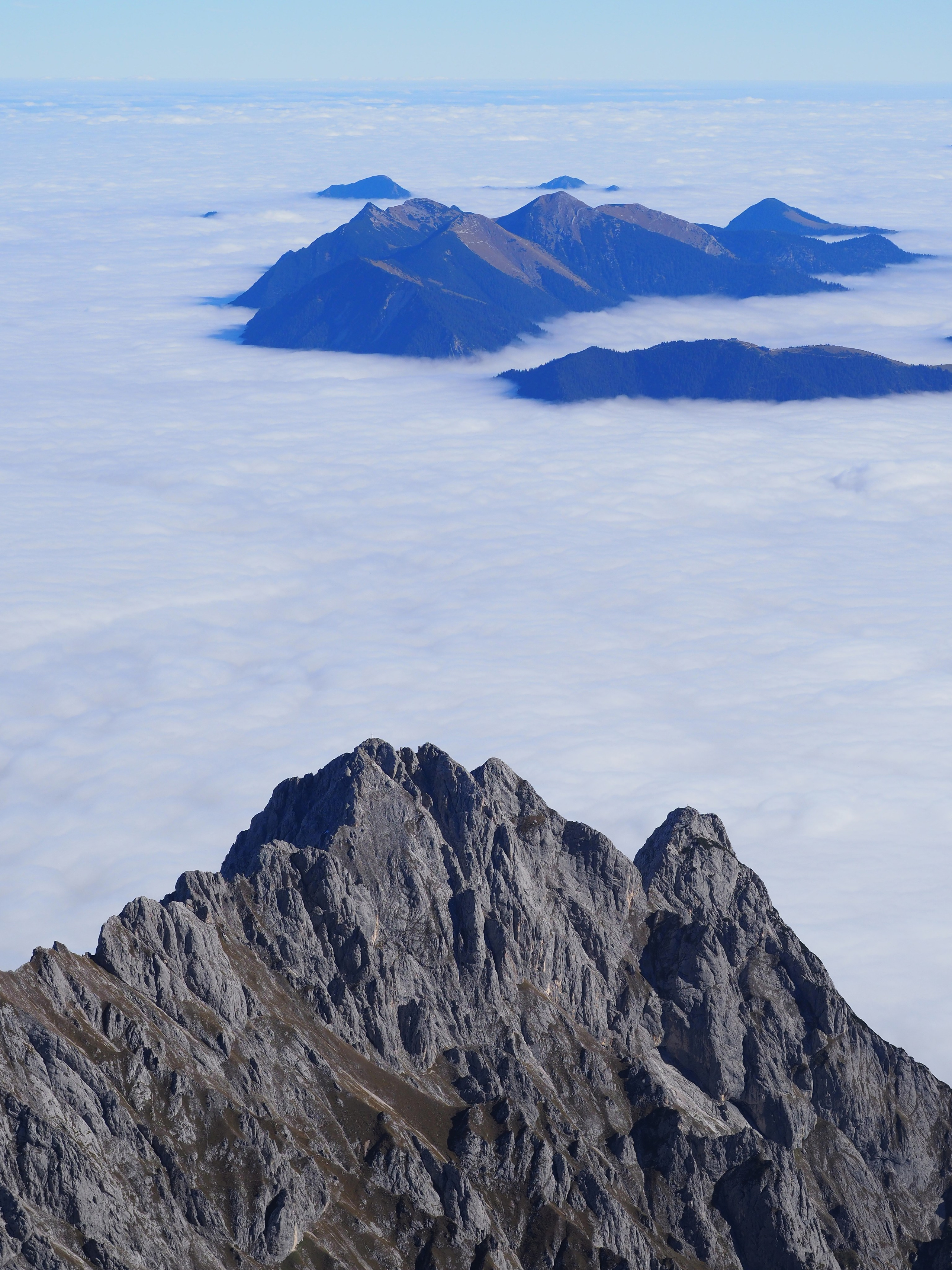 Природа. Семейный фотограф в Красноярске Лизоркина Вера