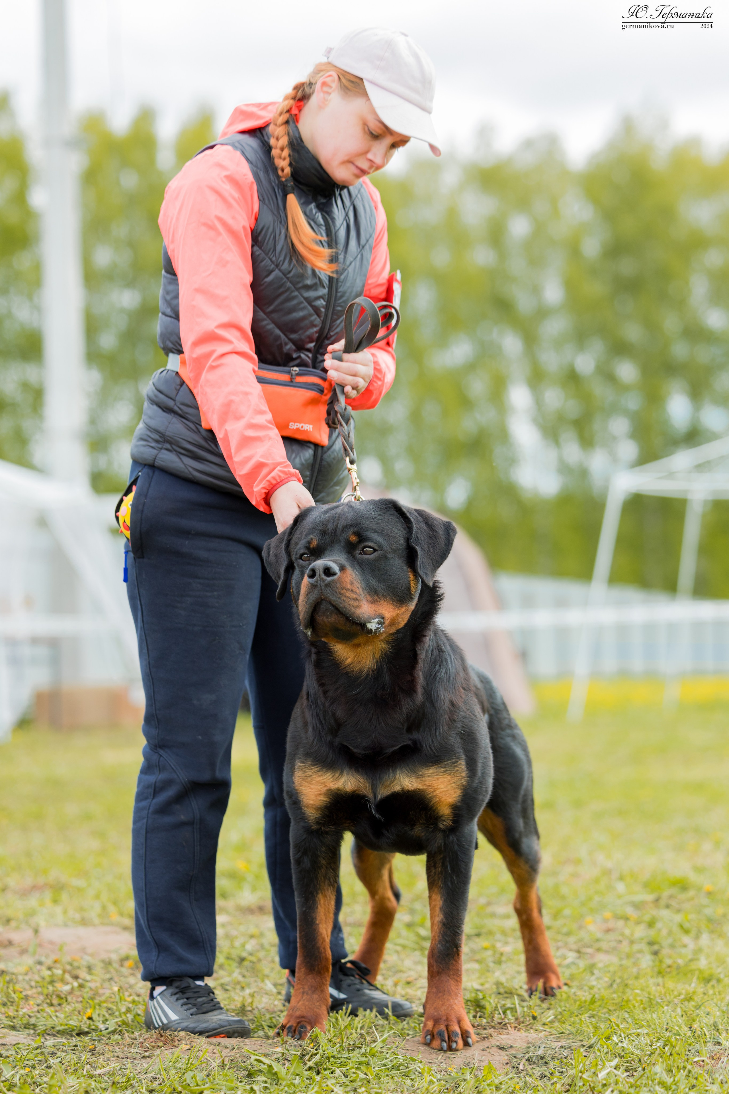 Нижний Новгород 11-12.05.2024 моно ротвейлеров. Фотограф-анималист Юлия Германика