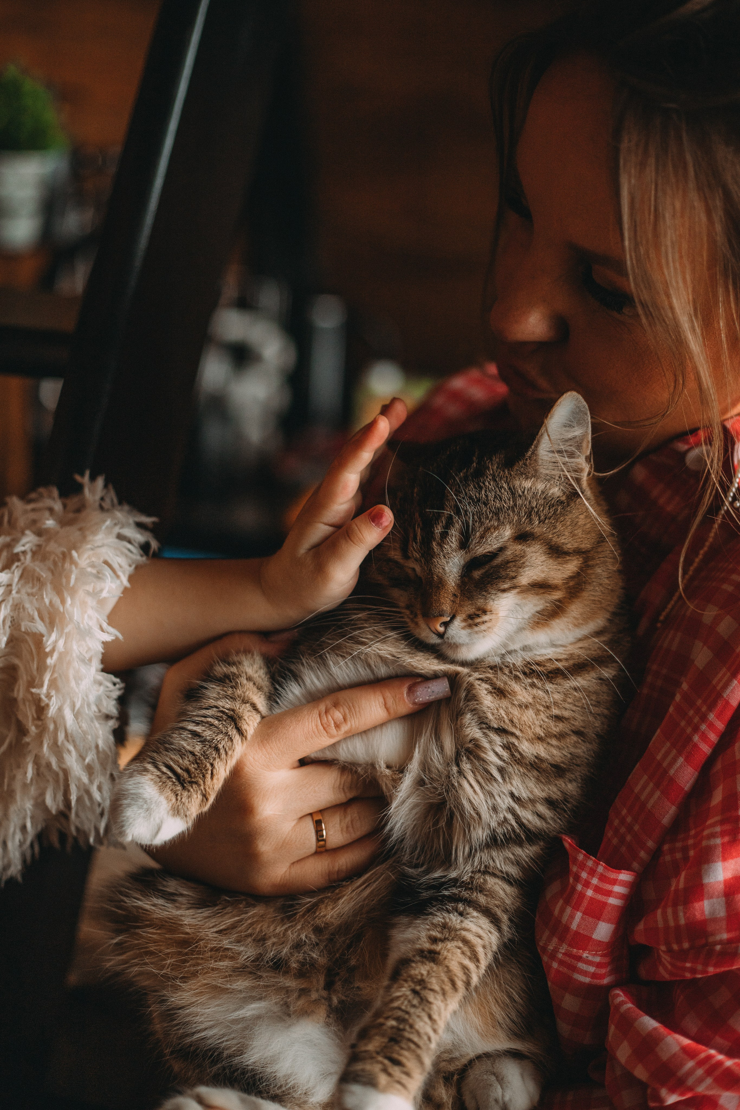 Треугольный домик. Главная