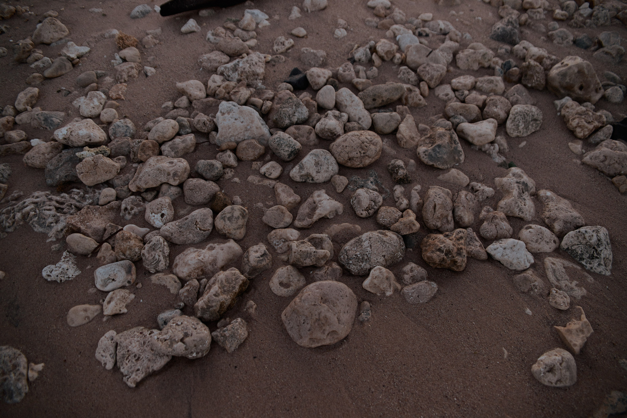 Диптих. Jorgis — фотограф в Хургаде / обучение фотографии