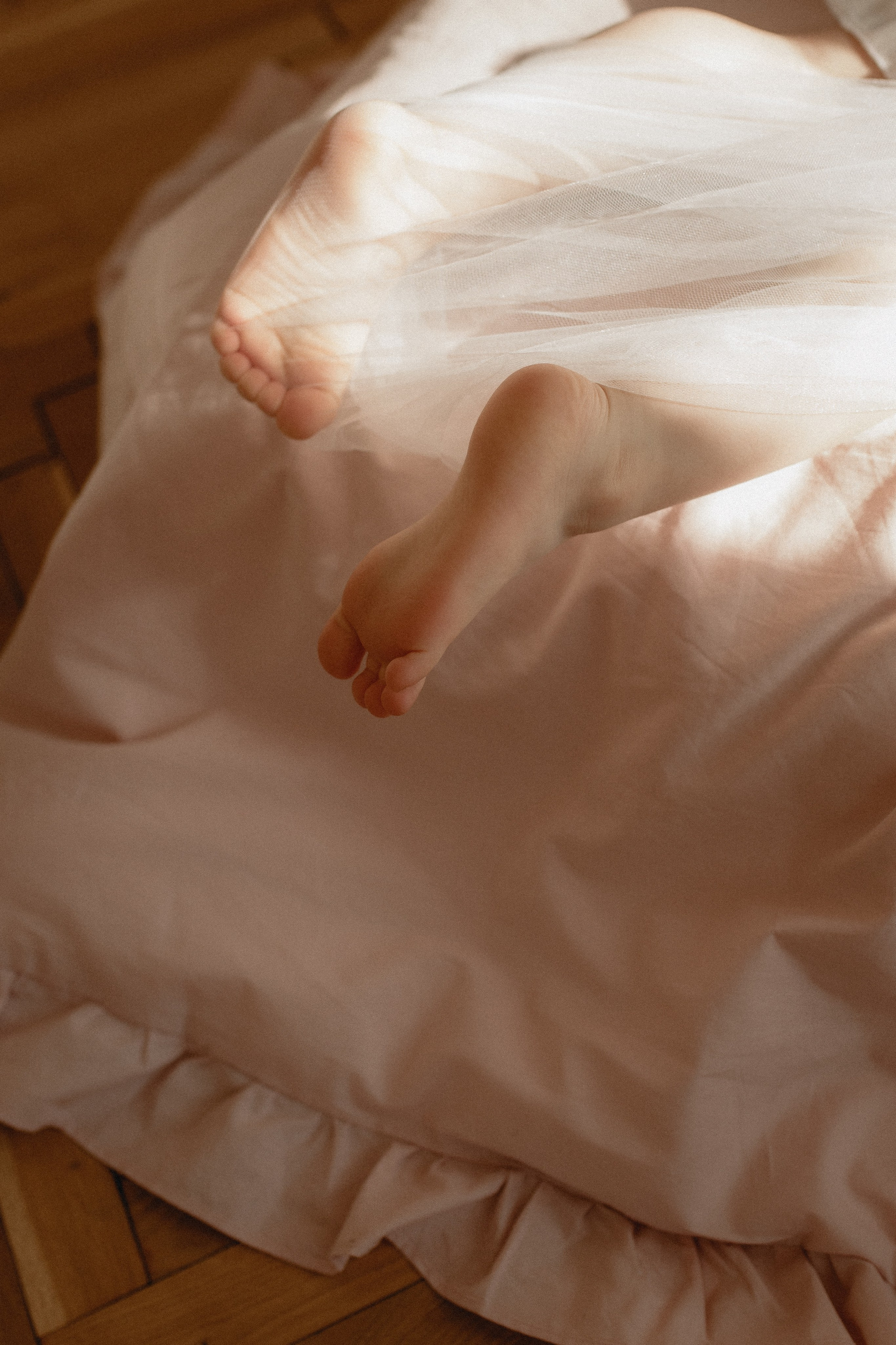 Весенние Аня и Ариша. Главная