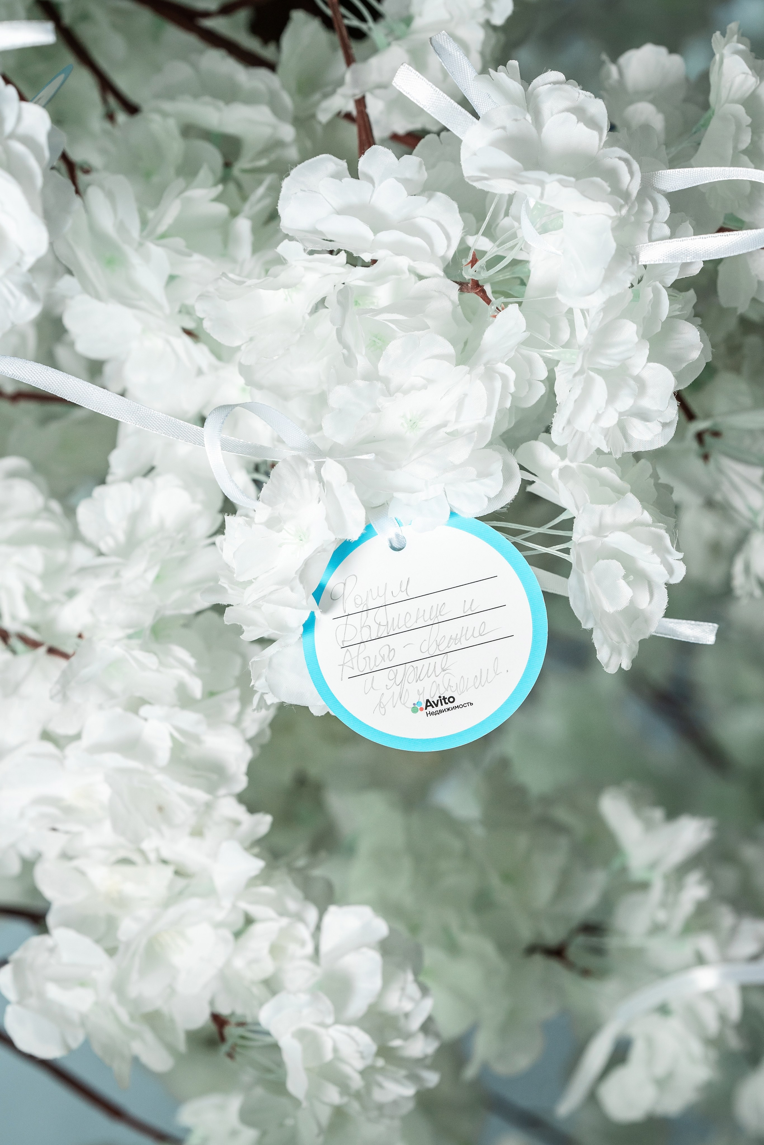 Форум Движение фотоотчет. Фотограф Сочи