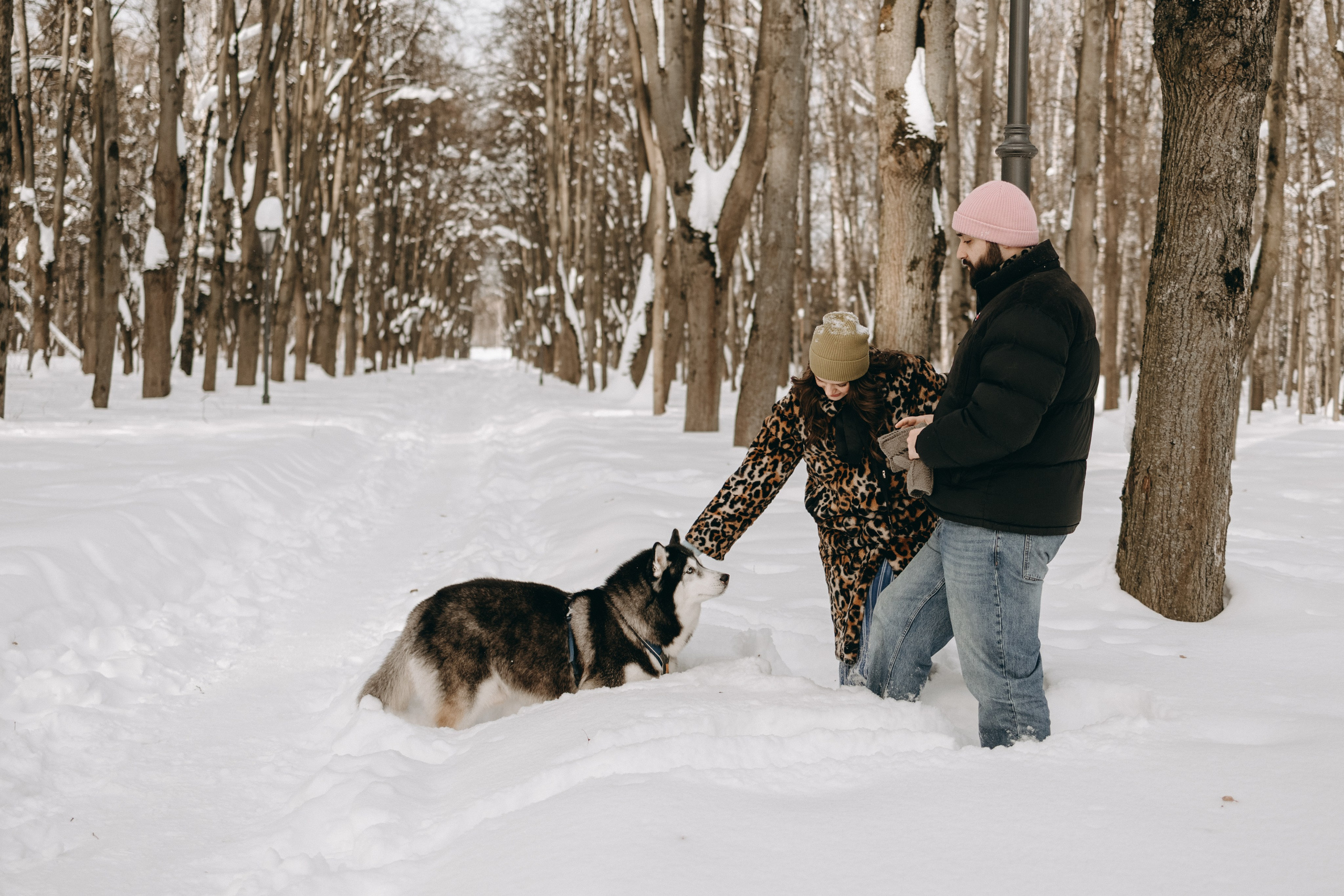 Вегас и его семья. Фотограф — Анималист | Санкт-Петербург