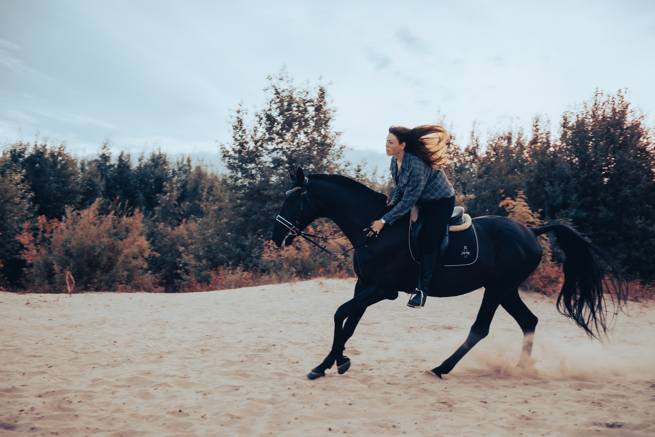 Конная фотосессия