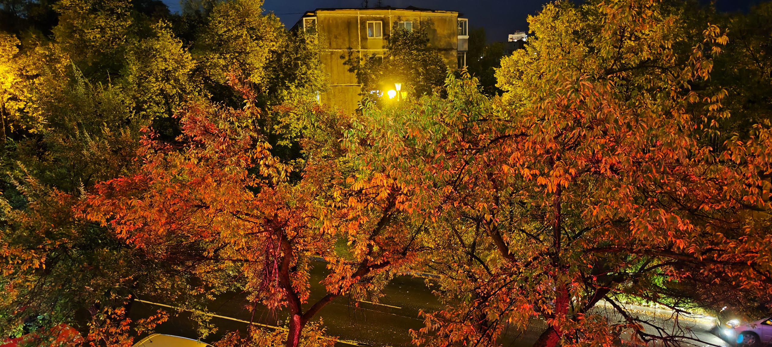 дачи, город, архитектура, стрит, репортажная фотография, фотография, Хабаровск, фотосессия, фотограф, дом, новостройка, улицы, жизнь города, town, art, photo, photographer, photo, Khabarovsk, Far East, street photo