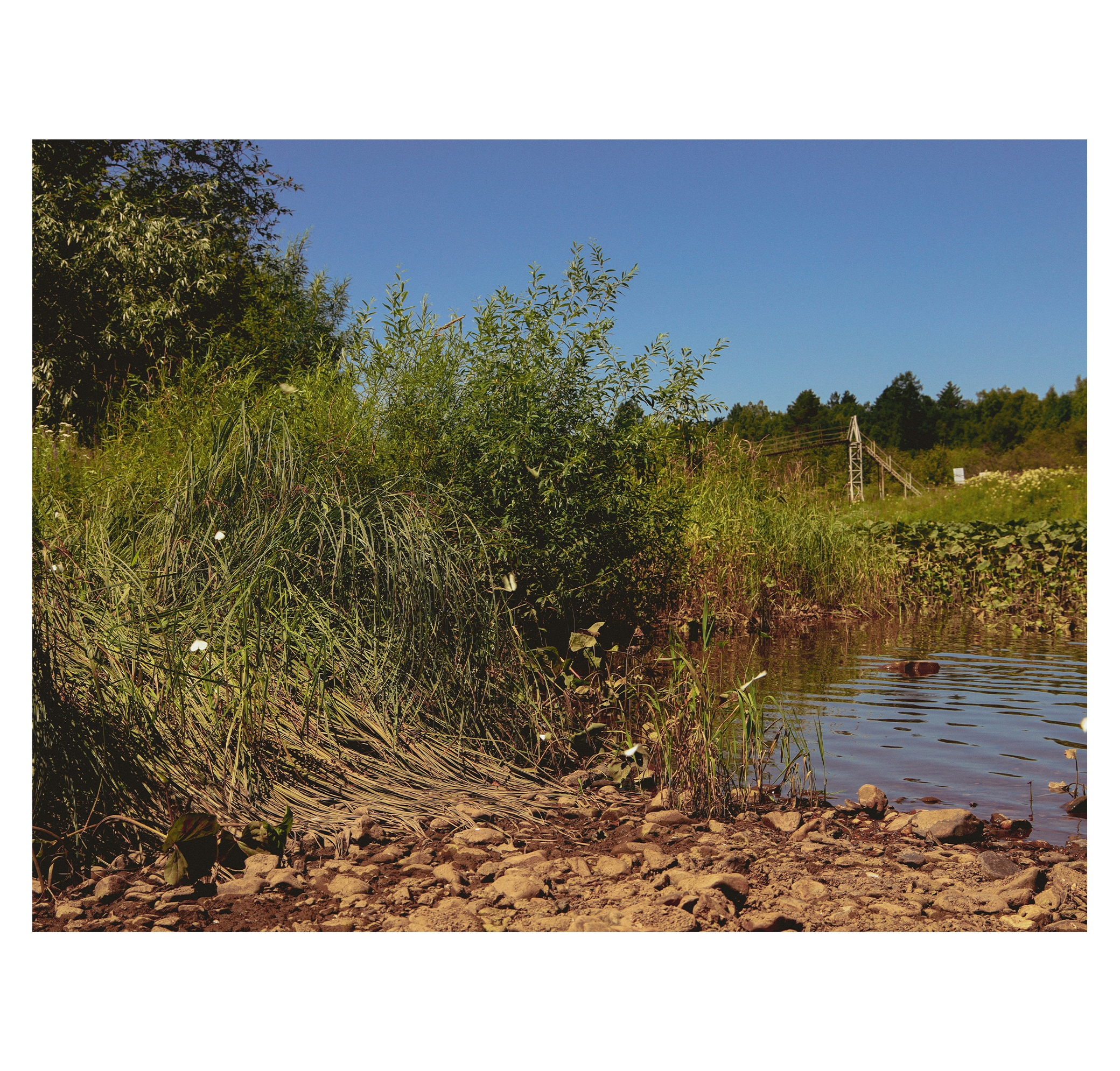 Summer hike. Фотограф/дизайнер в Екатеринбурге Хитрый Дмитрий