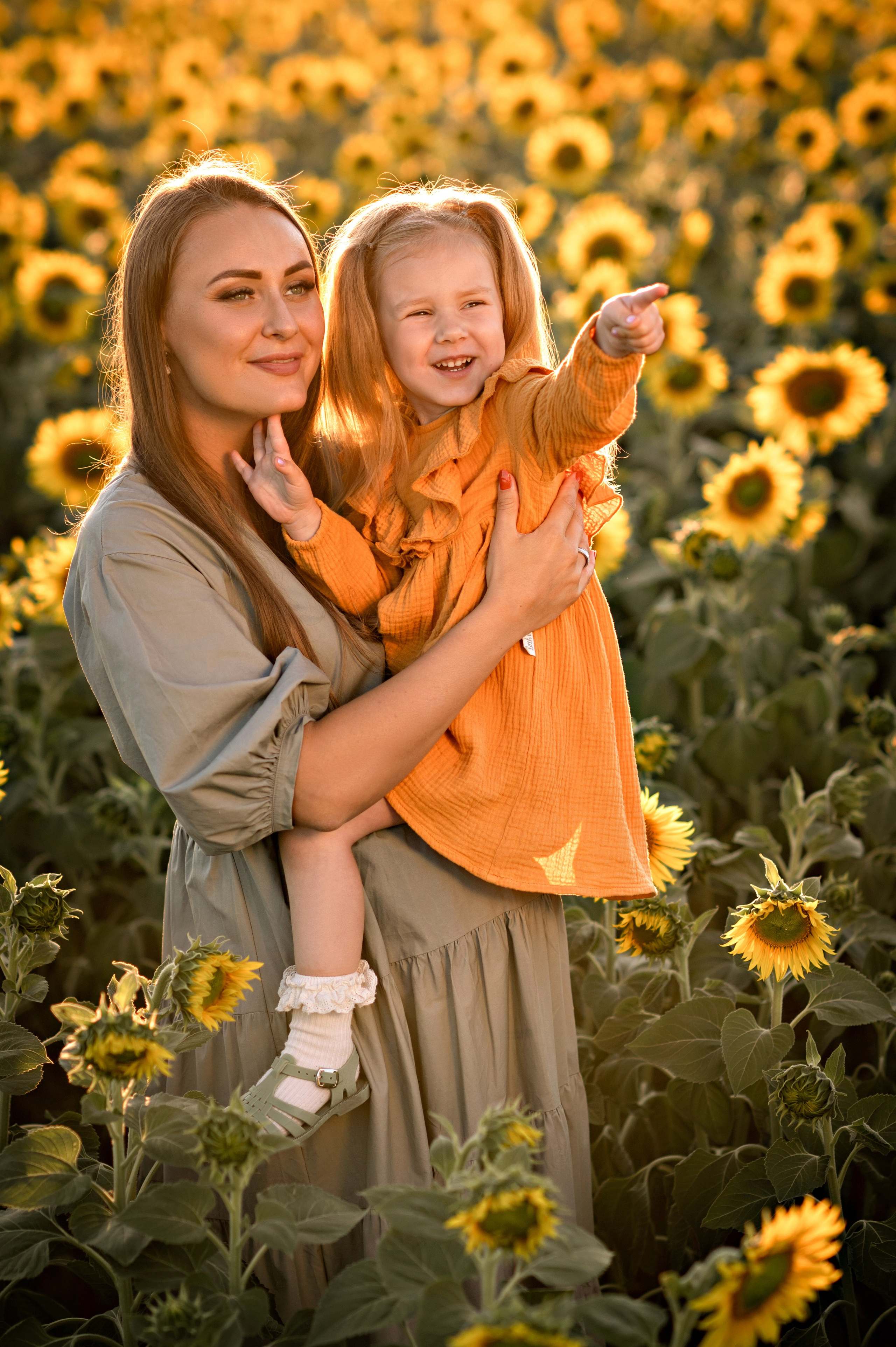 Подсолнухи. Семейный фотограф в Красноярске Надежда Кошелева