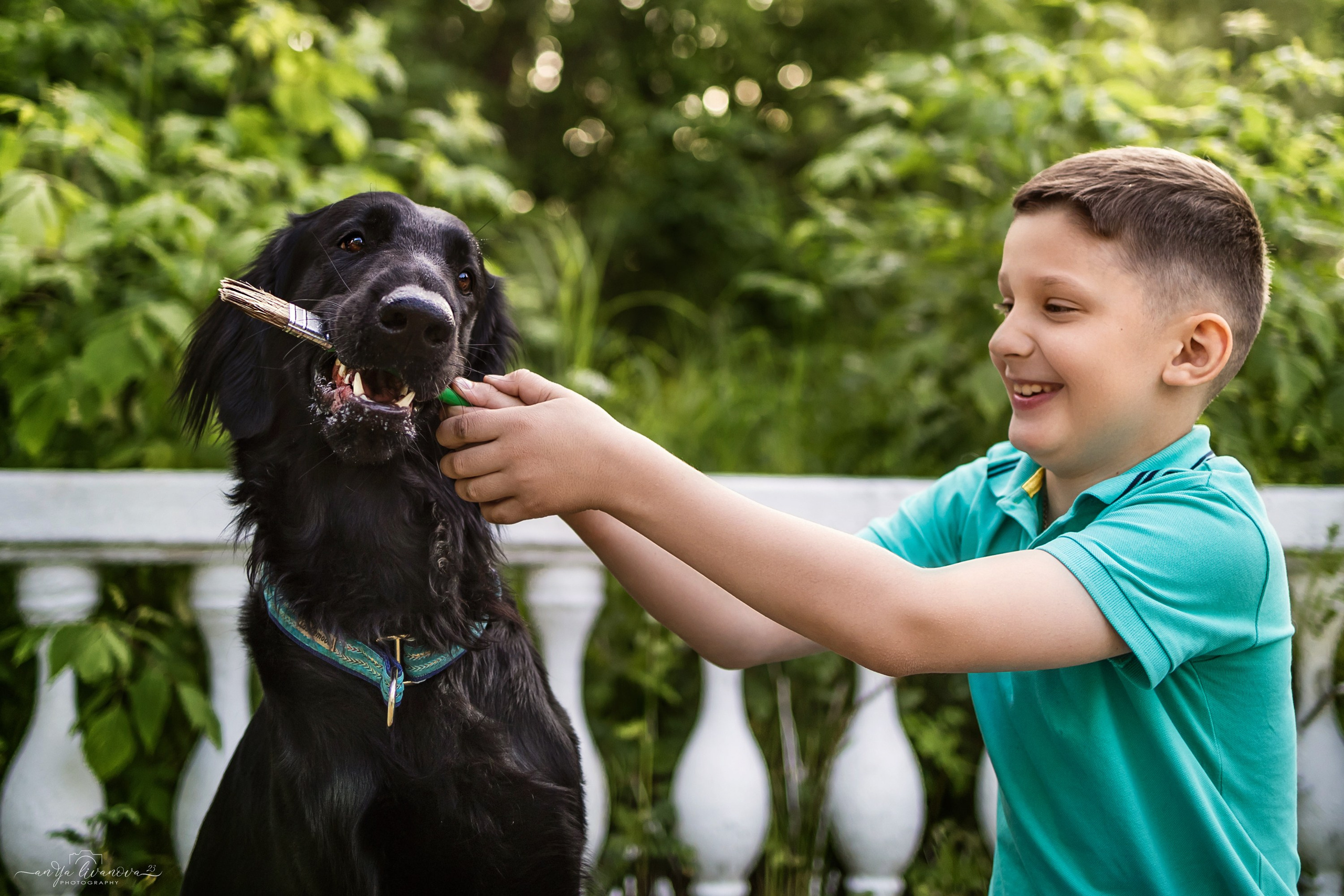 Художники…. Фотограф анималист Аня Ливанова | Рыбинск
