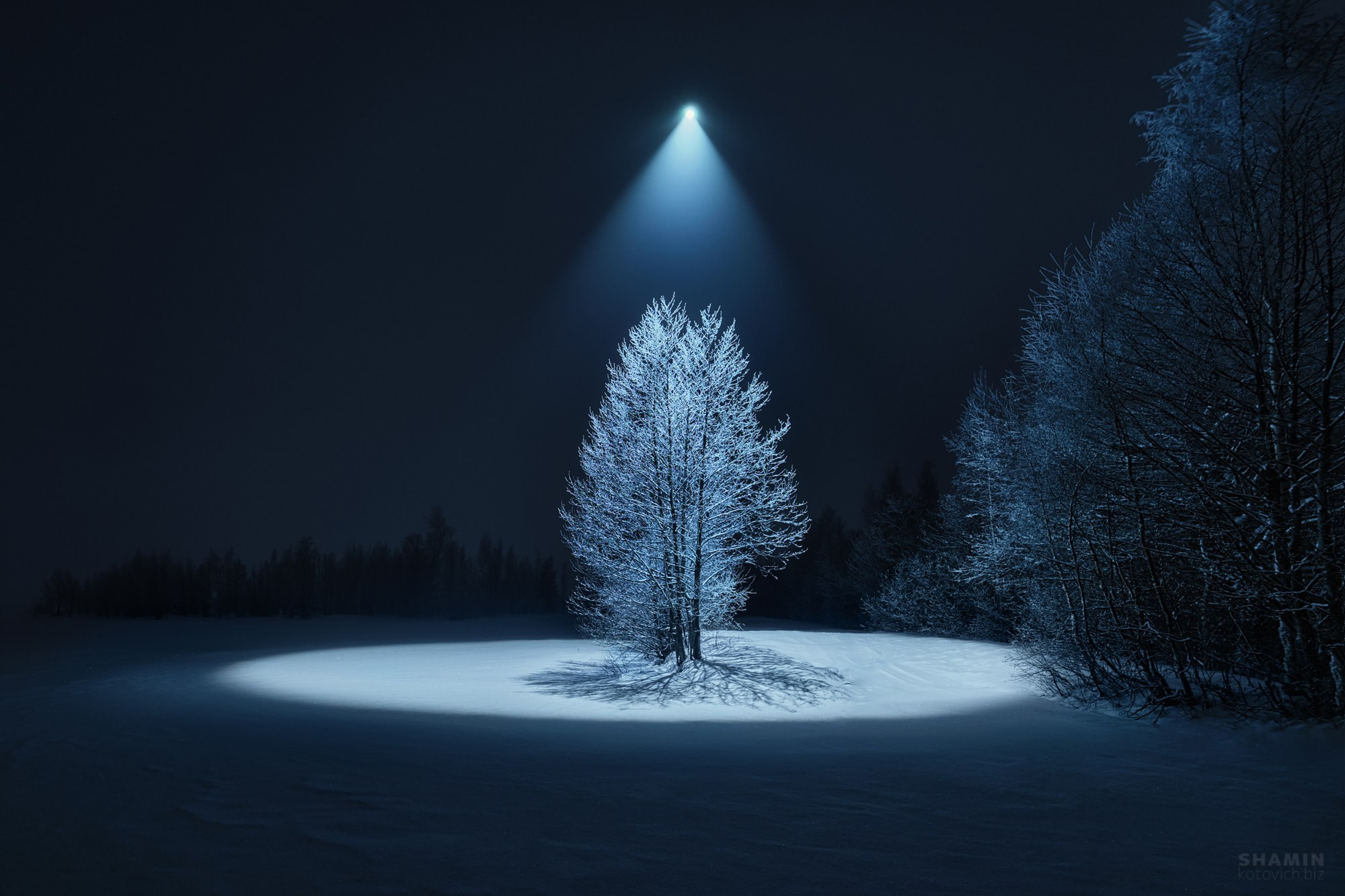 Пейзажи Ленинградской области — озёра, болота, побережье Финского залива, леса и рассветы Северо-Запада России. Природа и свет Ленинградской области. Фотограф Константин Шамин