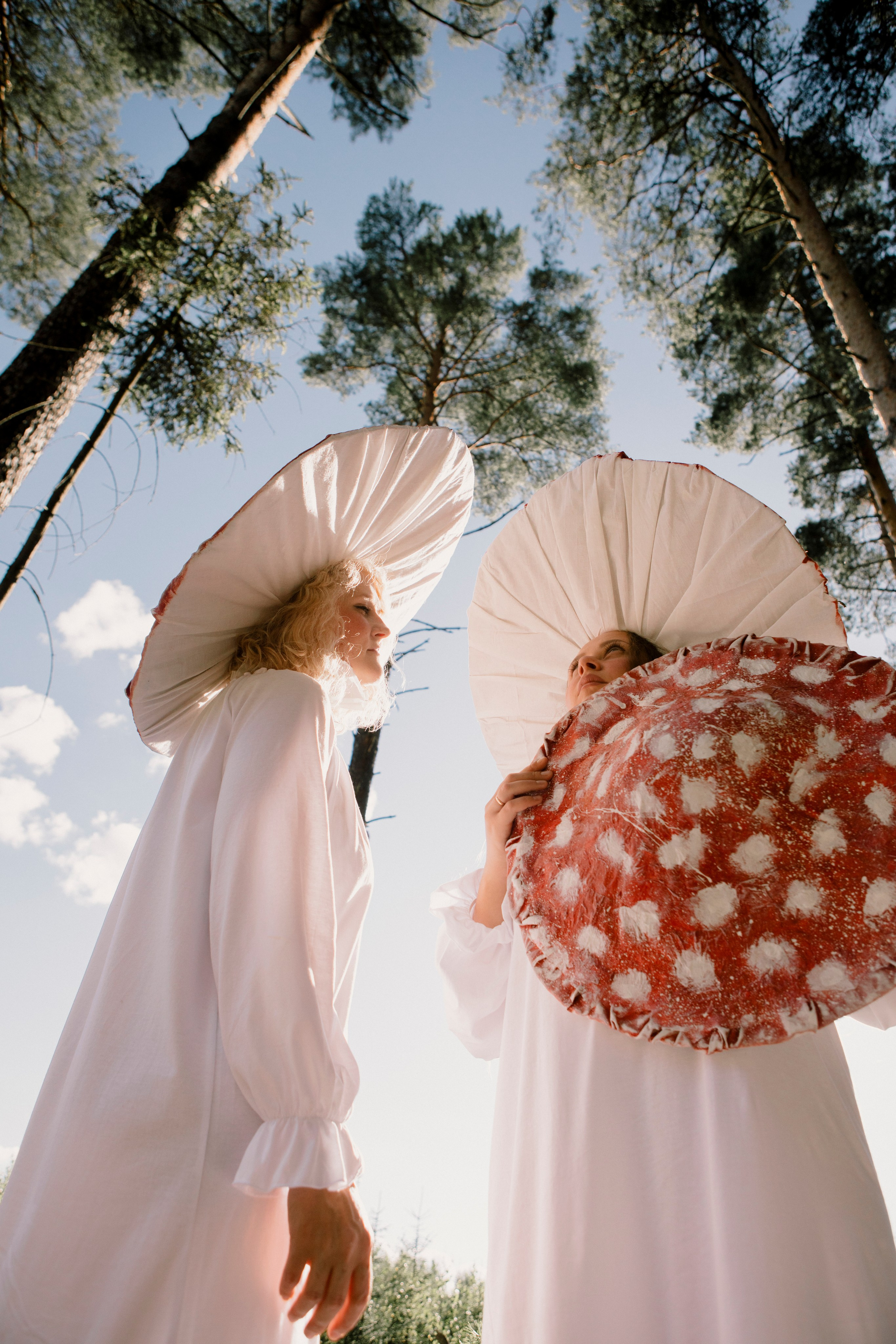 Грибы. Ольга Пилант. АРТ, бэкстейдж, свадебная и семейная фотография, городской портрет, интерьерная фотография