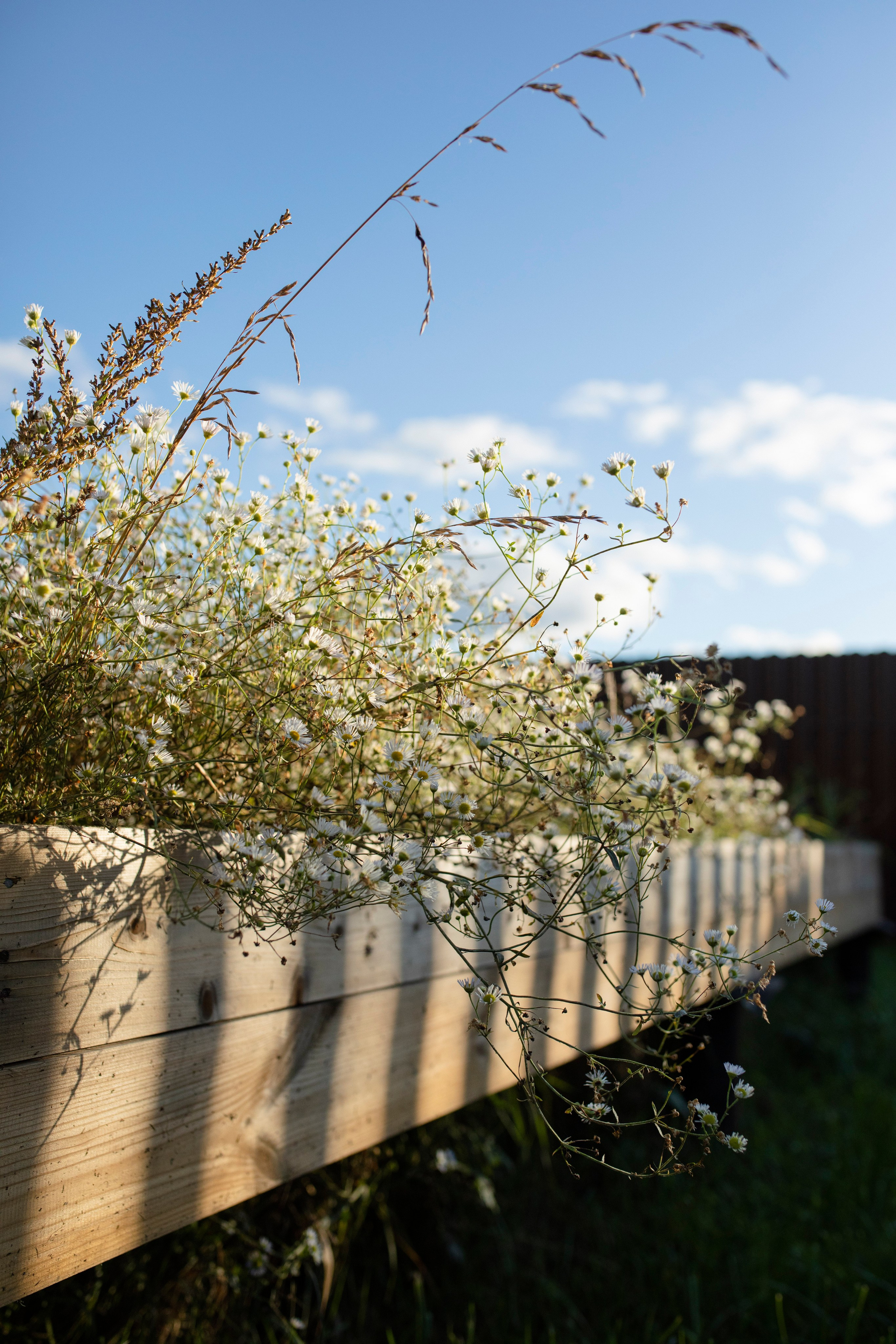 Брюгге. Ольга Пилант. АРТ, бэкстейдж, свадебная и семейная фотография, городской портрет, интерьерная фотография