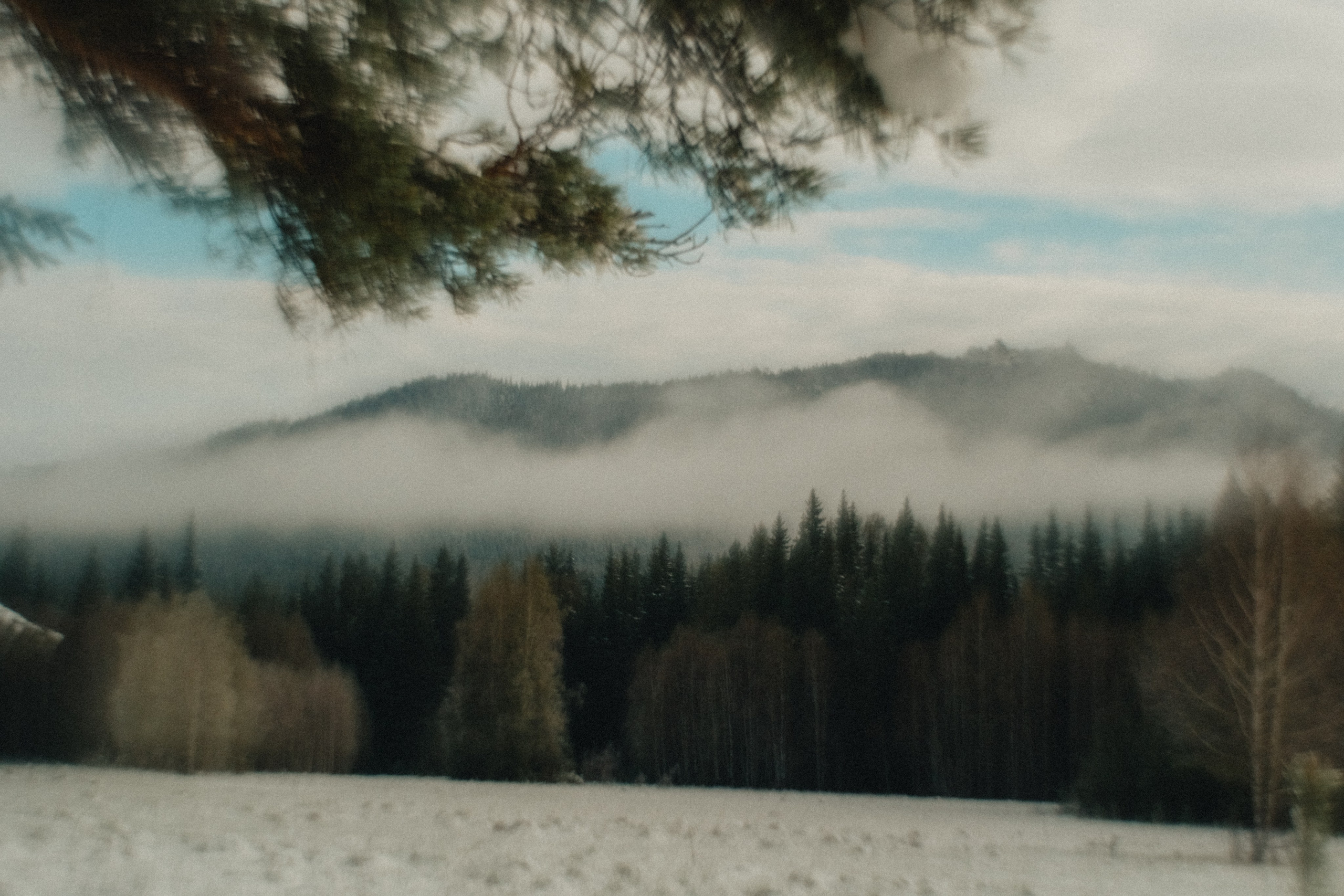 Южный Урал. Окрестности Ялангаса | Май 2024. Andrew Sozonov visual artist