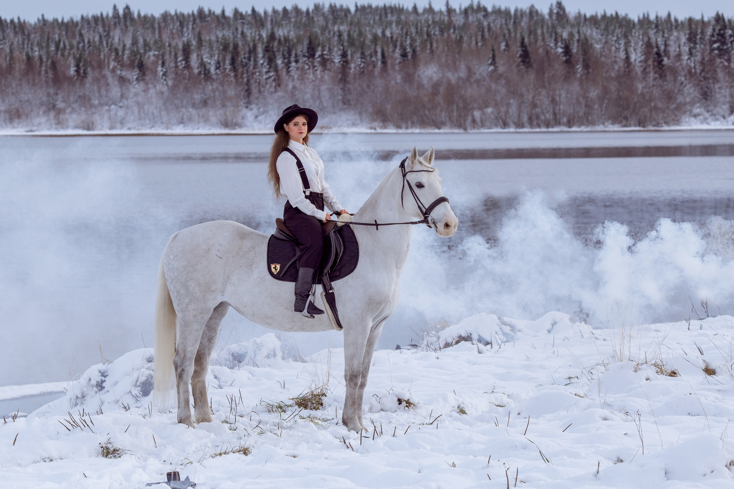 Фотосессия с лошадью на фоне зимнего озера