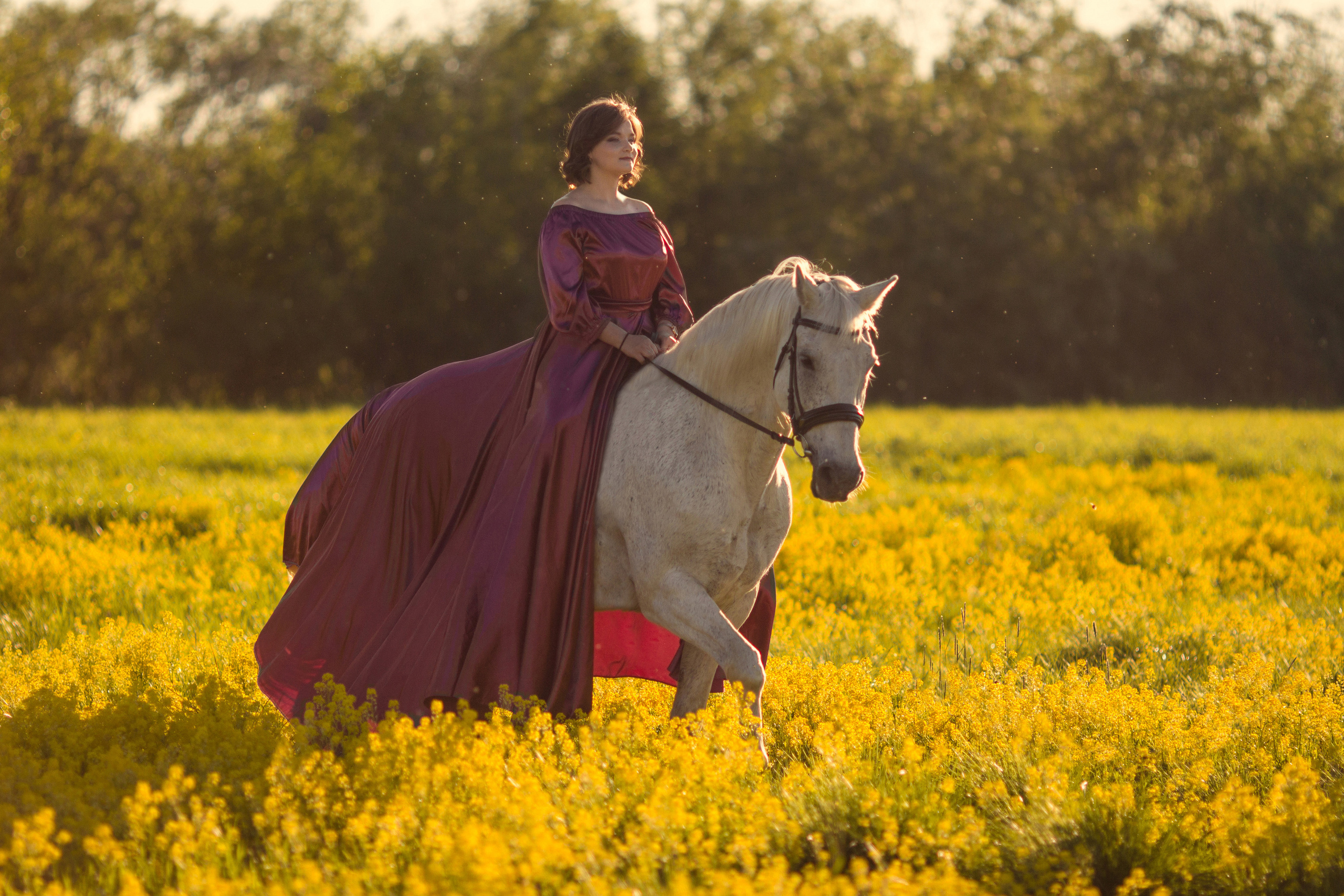 Фотосессия с лошадью в желтом поле