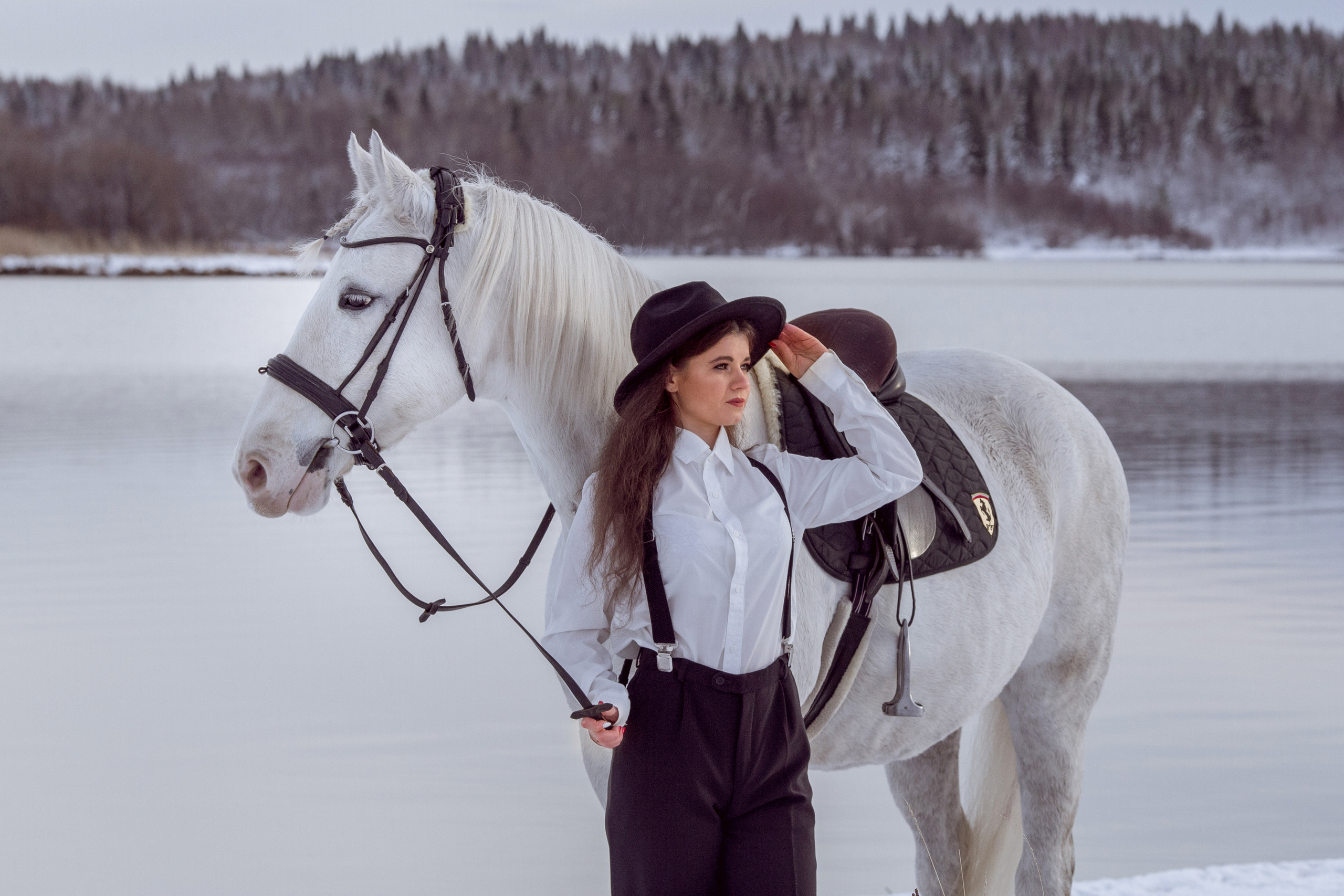 Фотосессия с лошадью на фоне зимнего озера