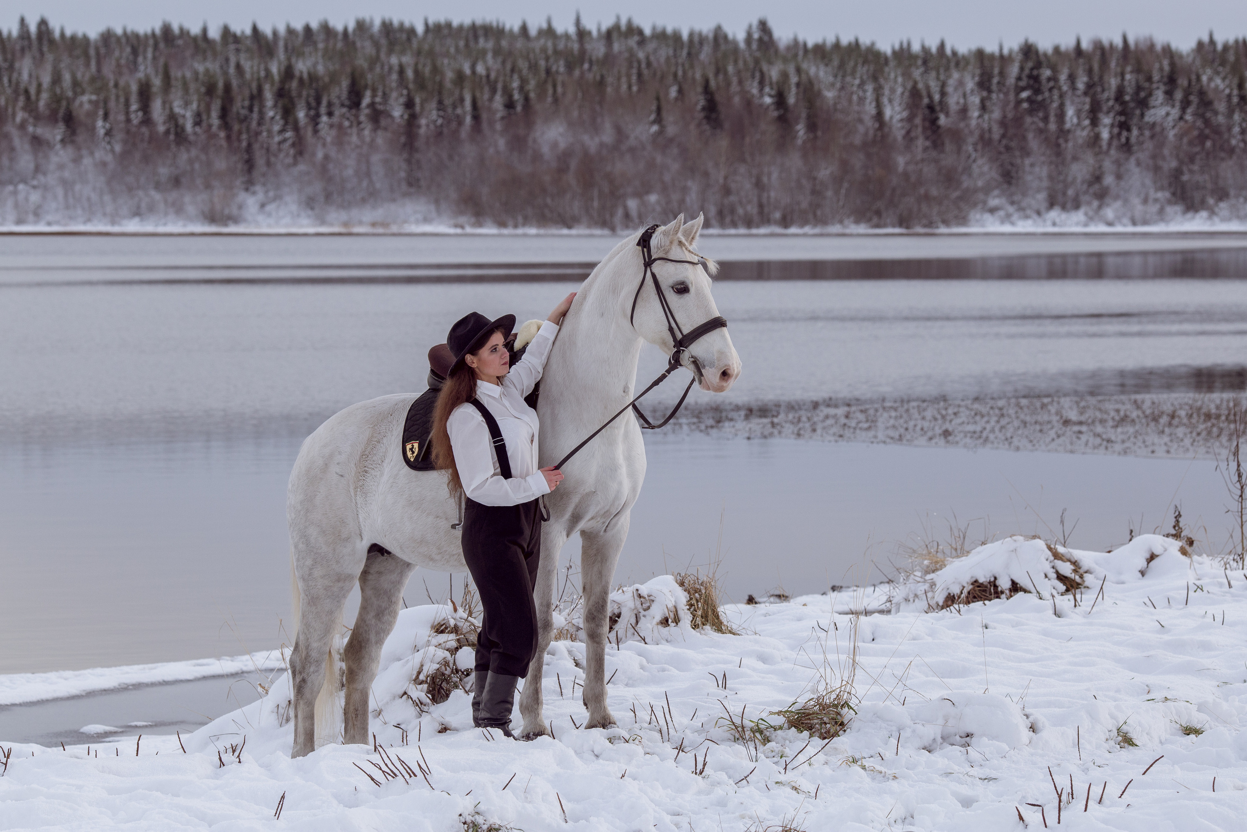Фотосессия с лошадью на фоне зимнего озера