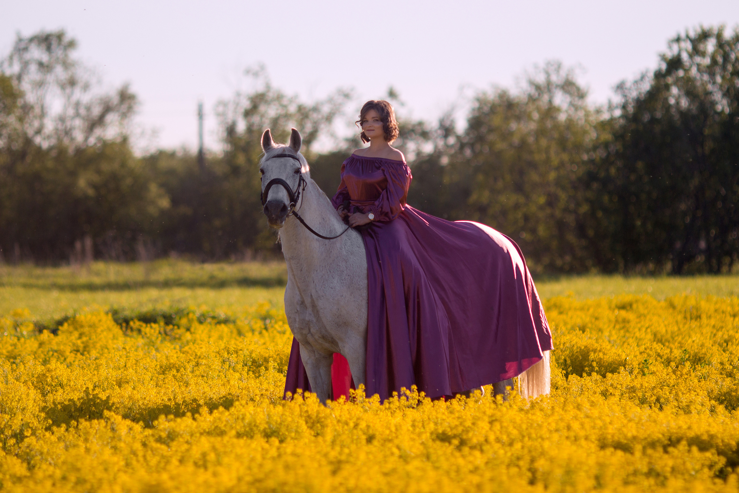 Фотосессия с лошадью в желтом поле