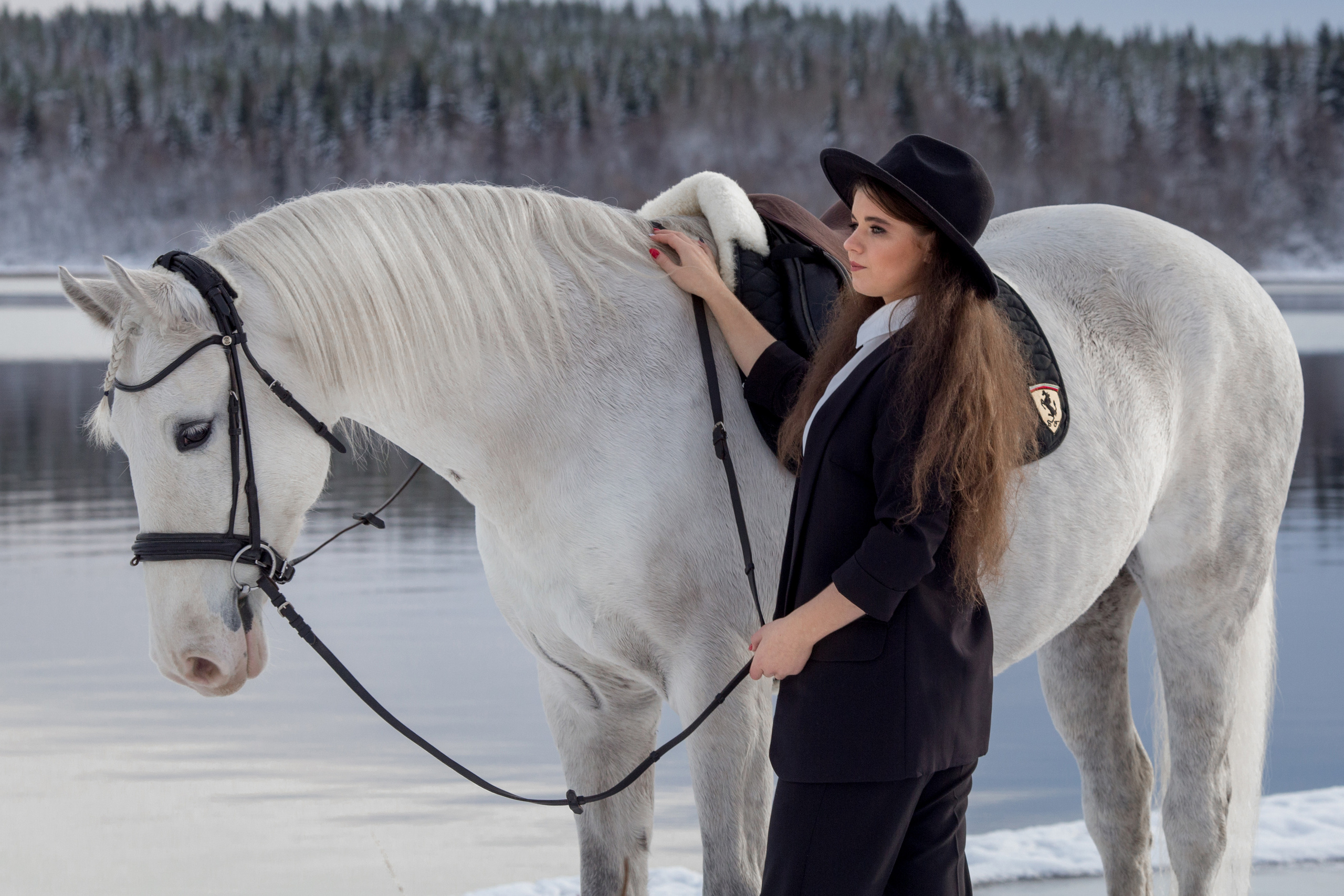 Фотосессия с лошадью на фоне зимнего озера