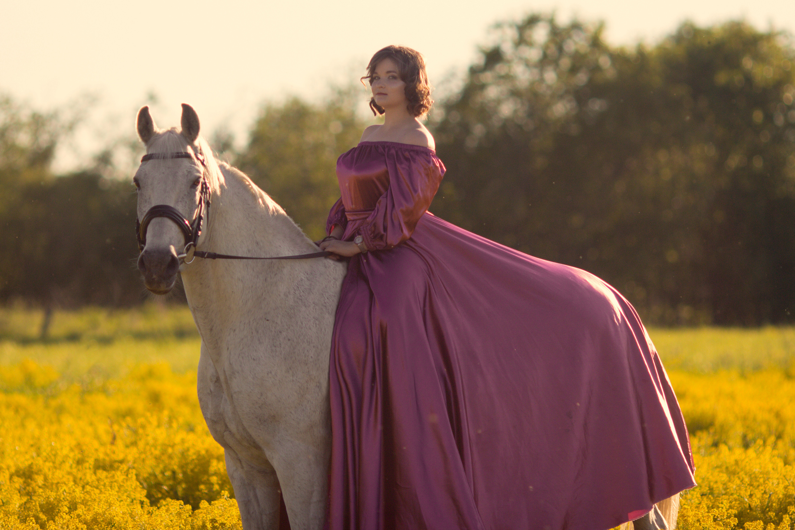 Фотосессия с лошадью в желтом поле