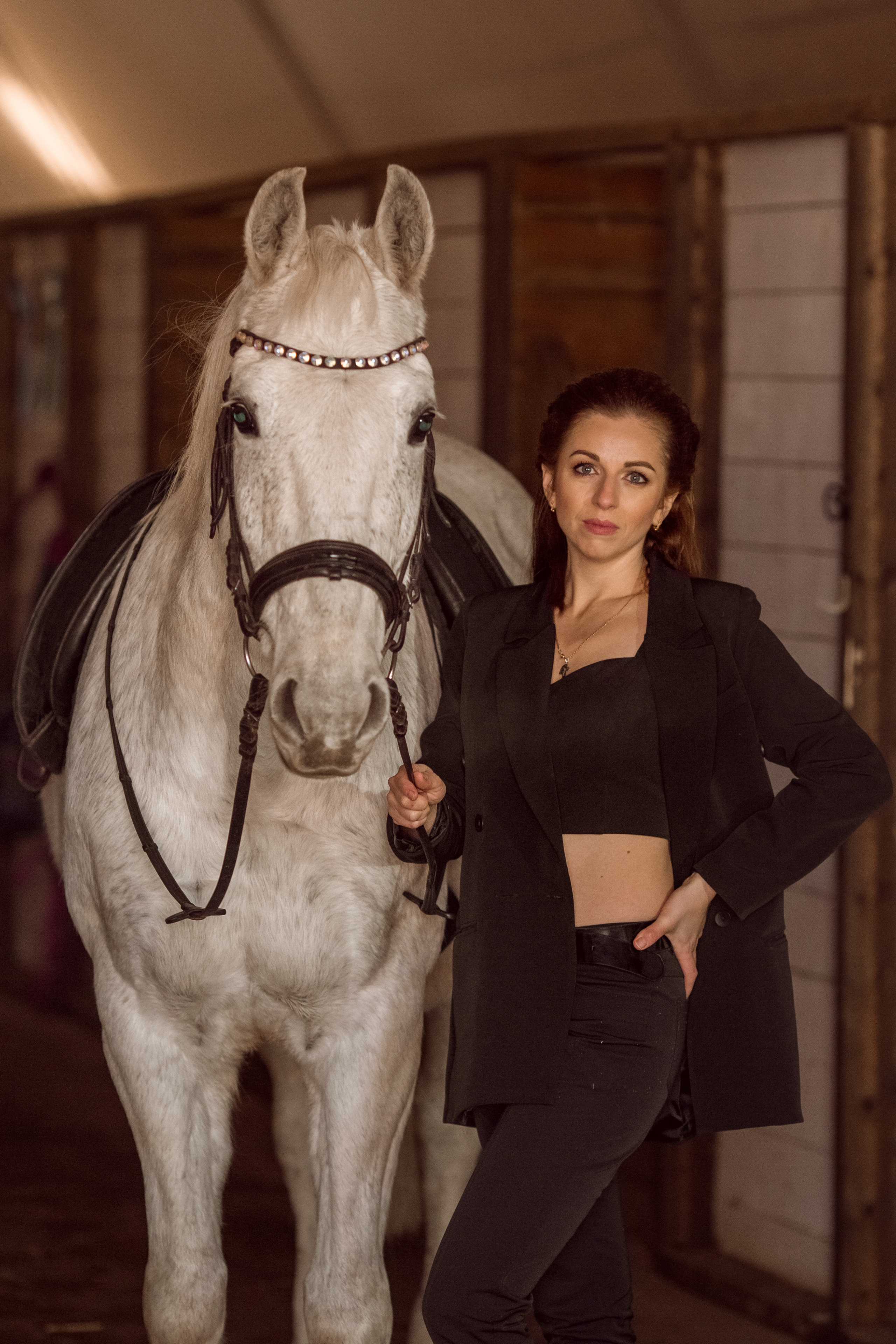 Зимняя фотосессия с серой лошадью