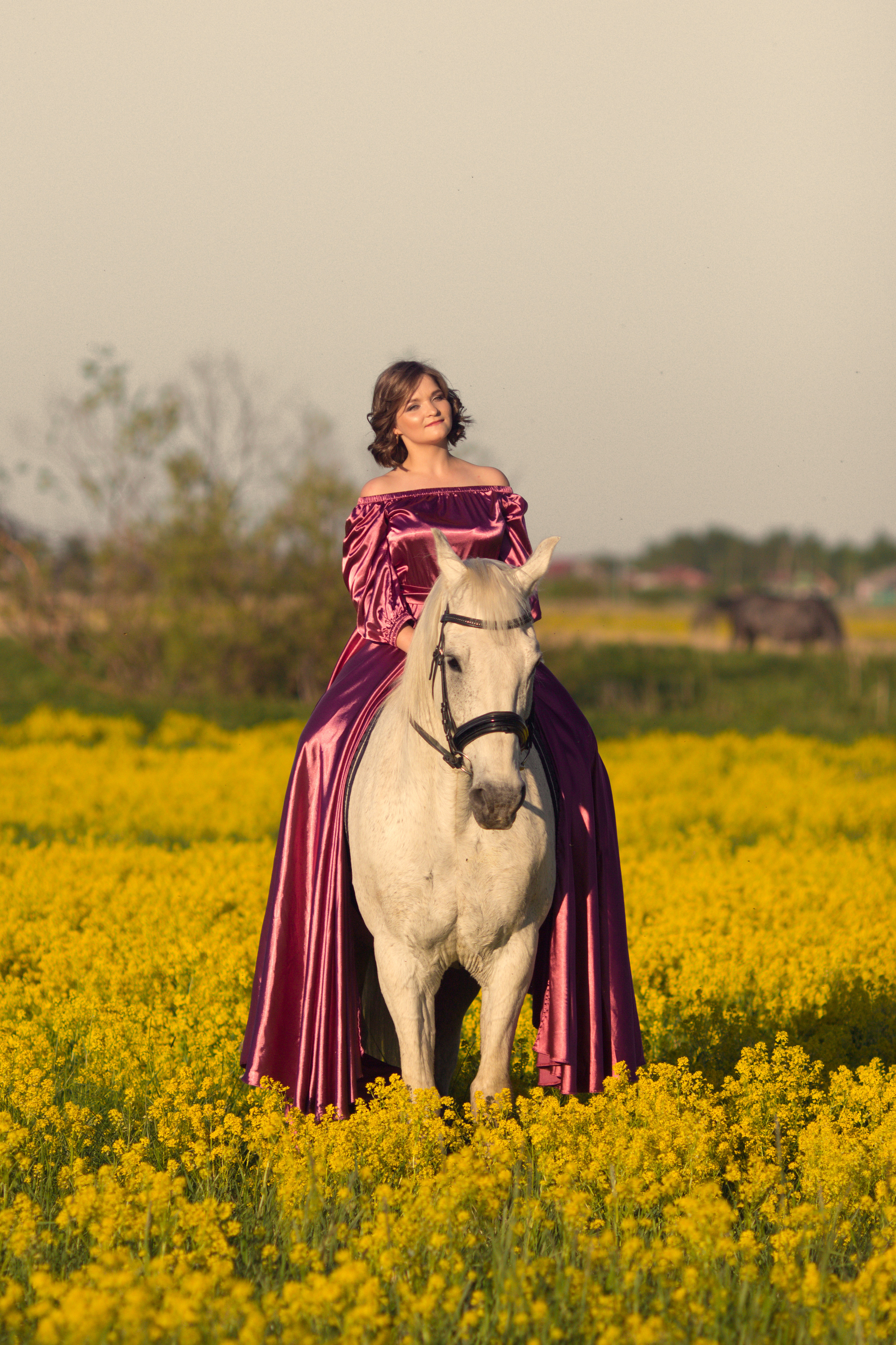 Фотосессия с лошадью в желтом поле