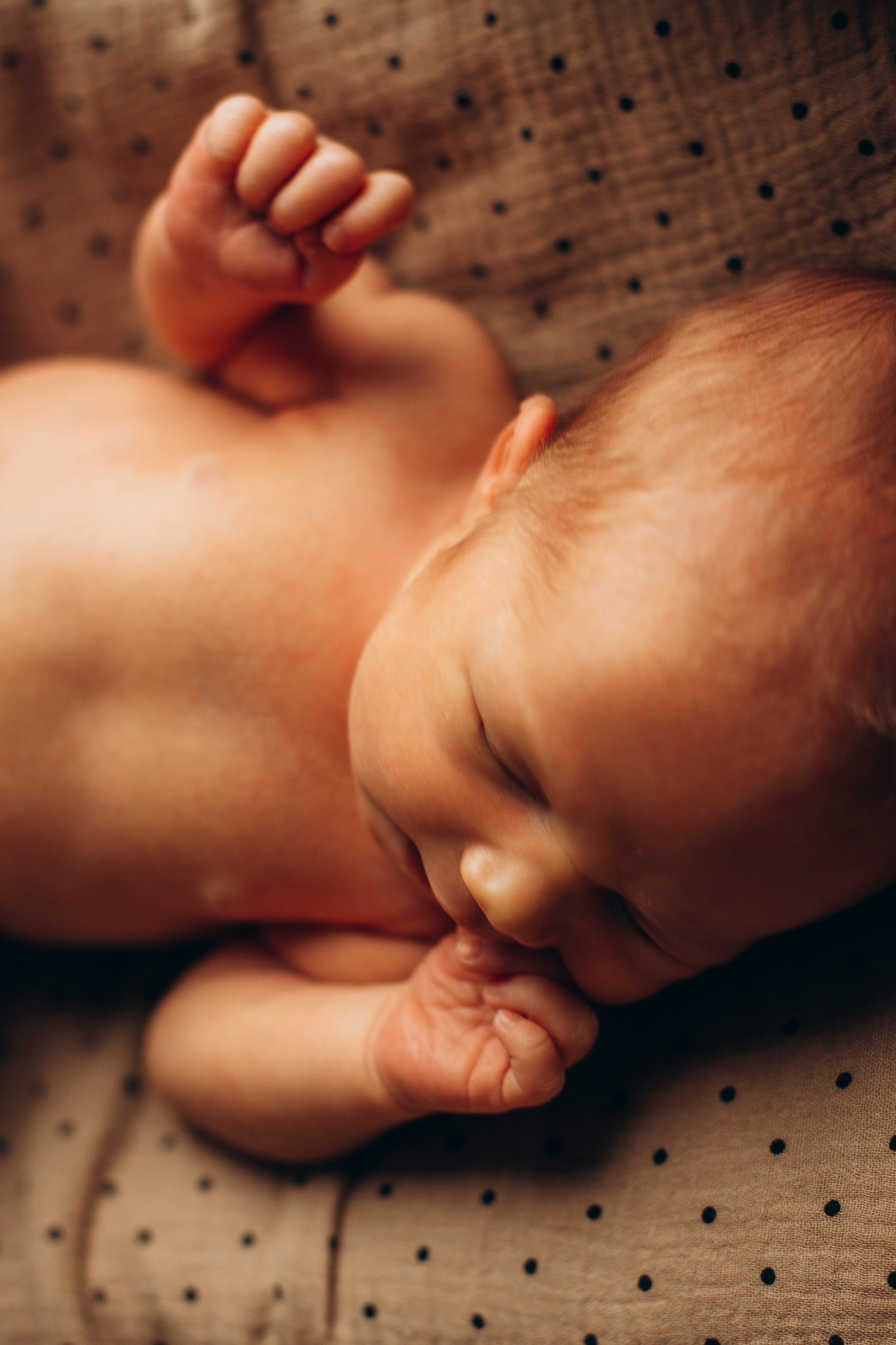 Newborn. Портретный фотограф в Москве