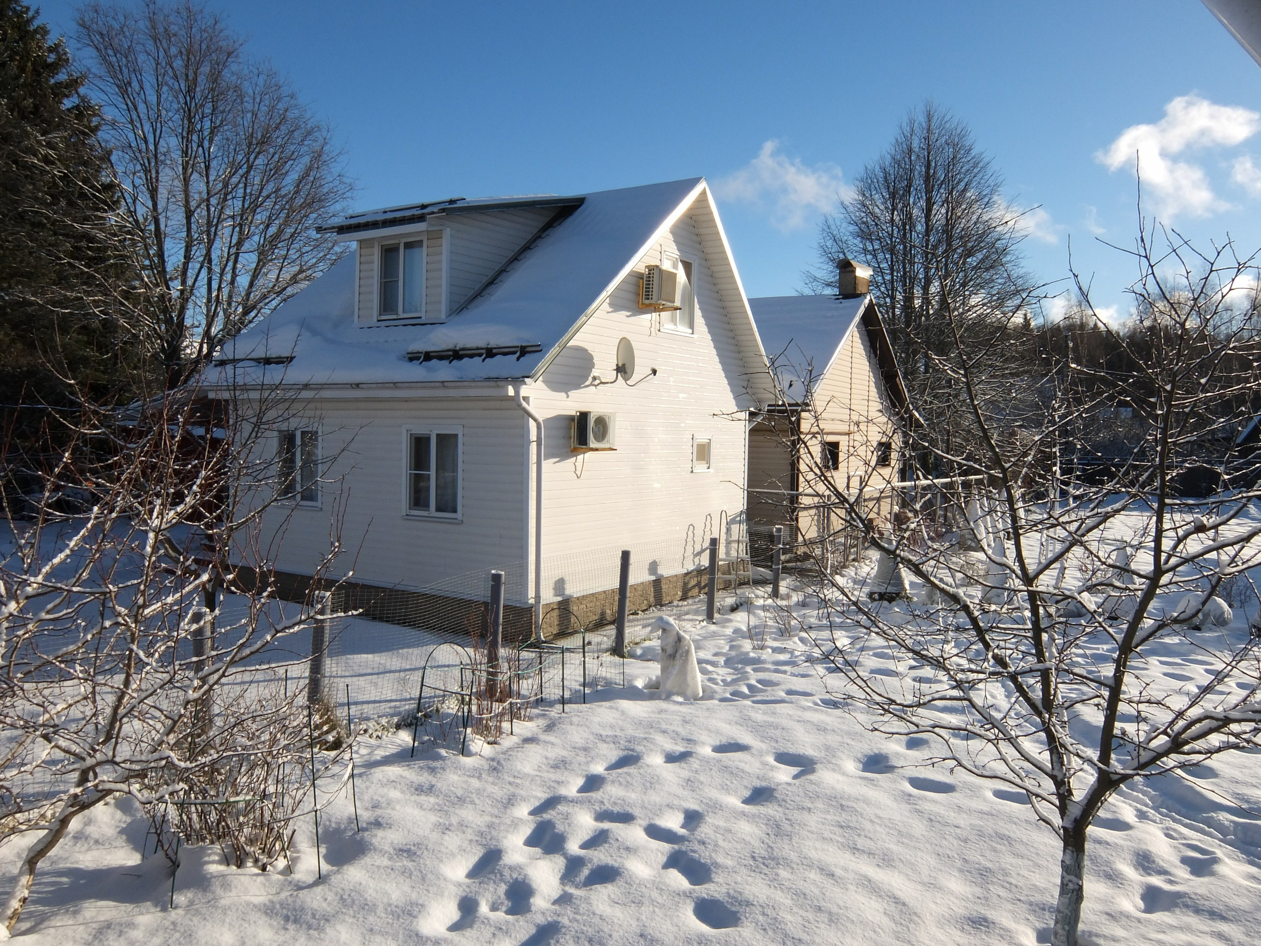 Солнечный день Нового Года. Фотограф-документалист Мария Осокина