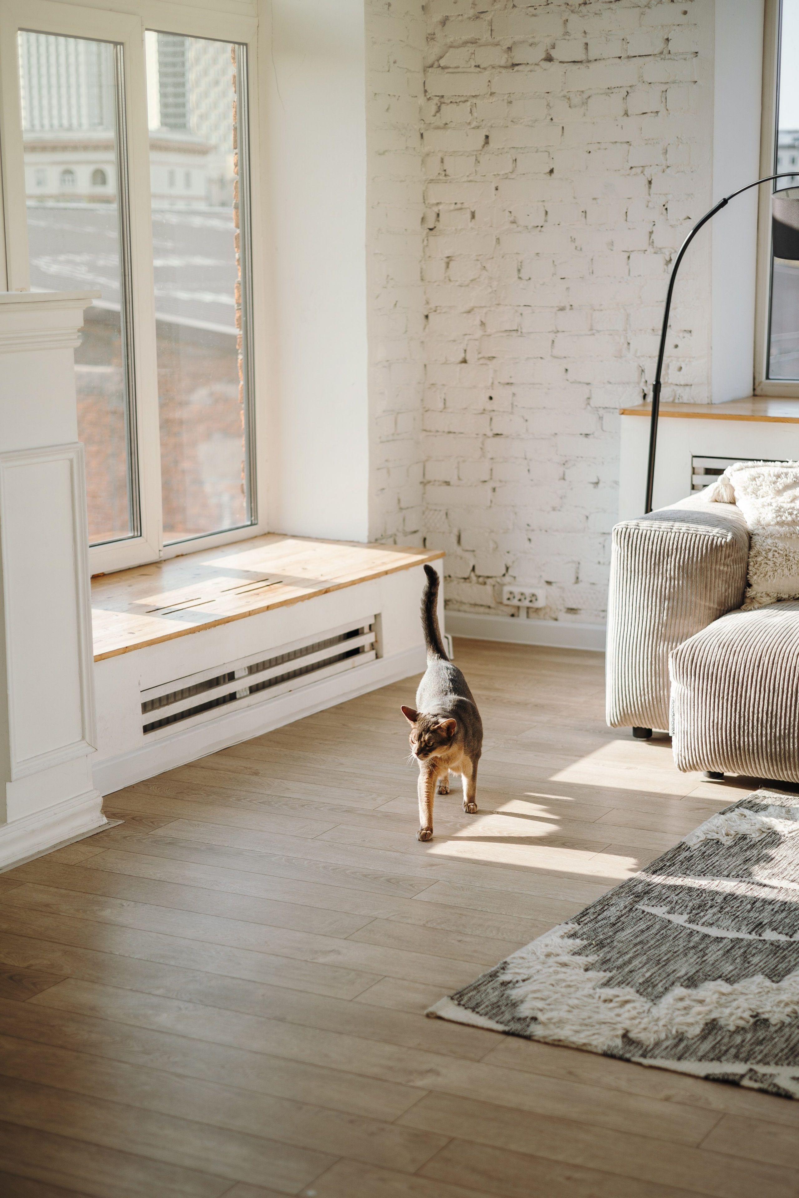 Циско и его семья. Фотограф — Анималист | Санкт-Петербург