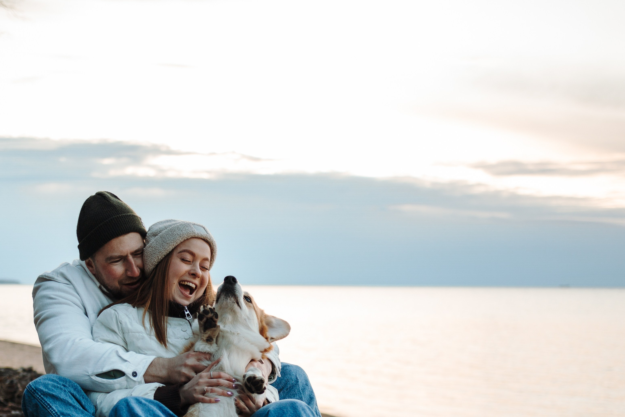 Найт и его семья. Фотограф — Анималист | Санкт-Петербург