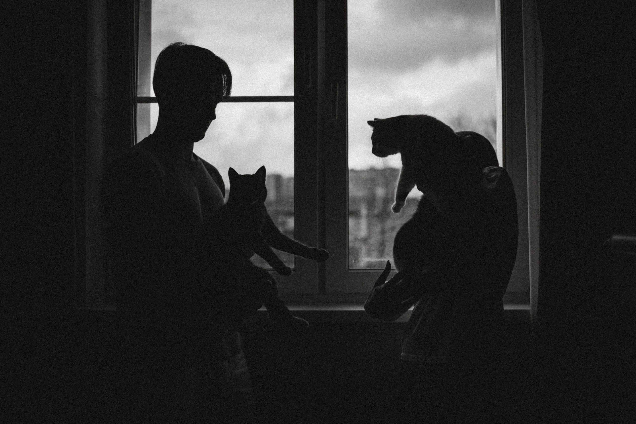 Рыся, Кепа и их семья