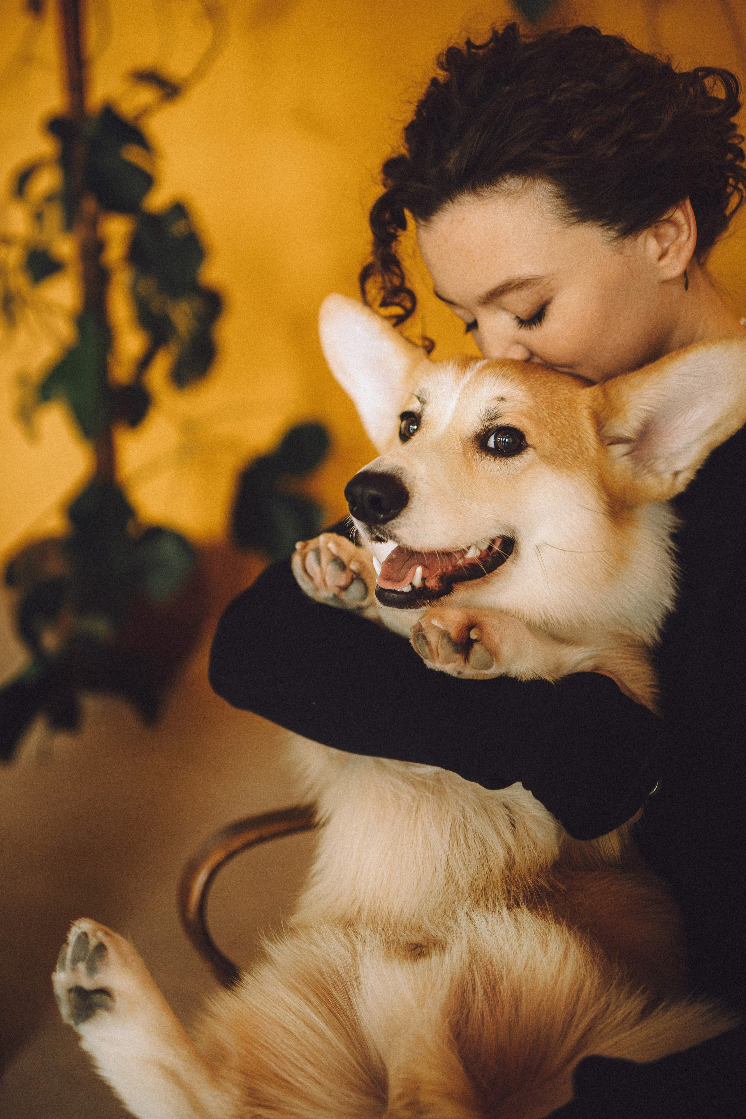 Наталья, Евгений и Мерлин