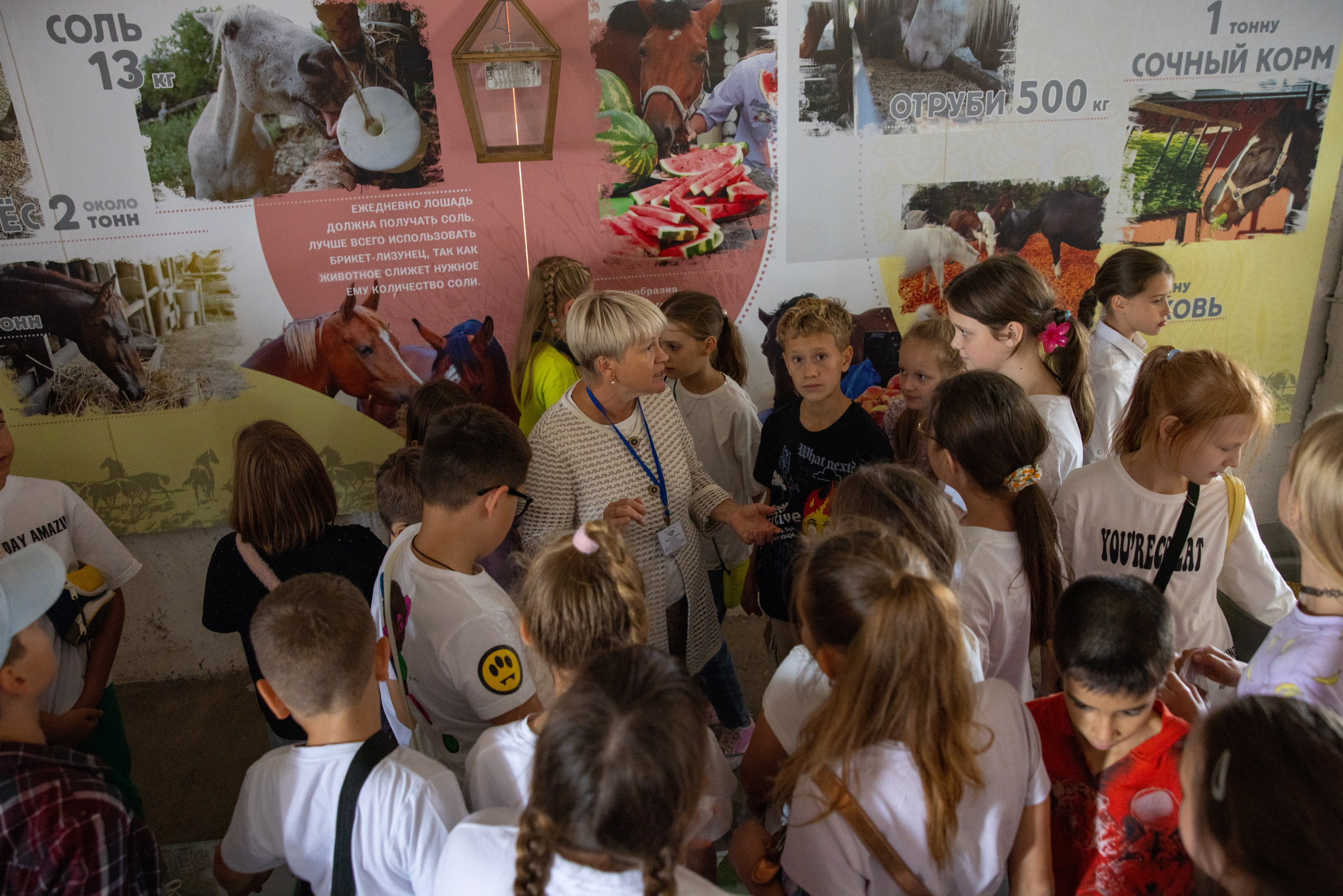 Поездка на поле Кулеково. Фотограф в Туле Крупский АнДРей. Фотостудия «КАДР71» в Туле