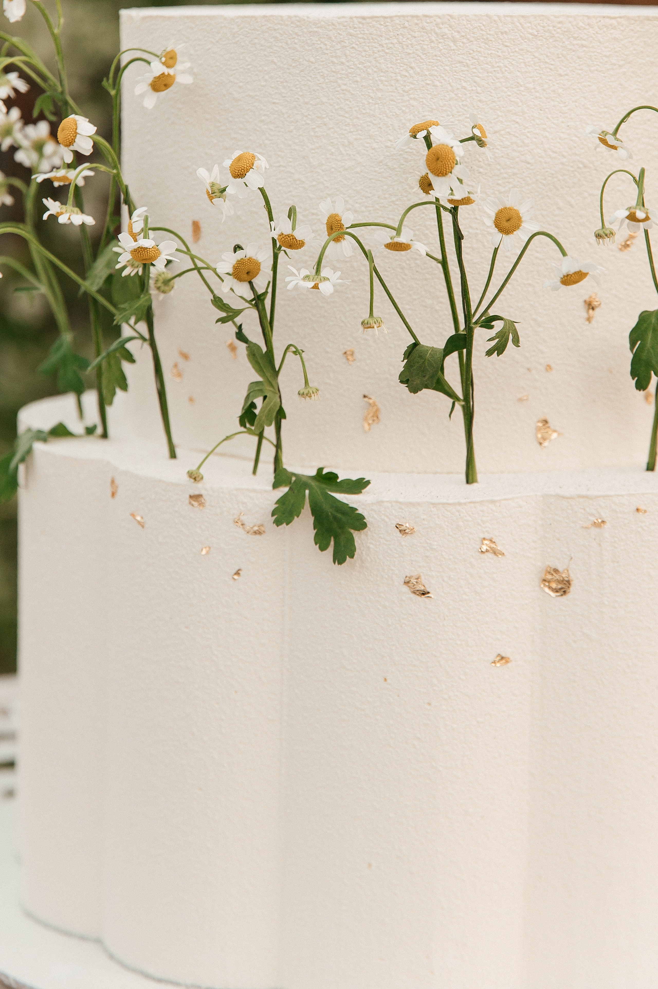 WEDDING. Мария — Свадебный фотограф