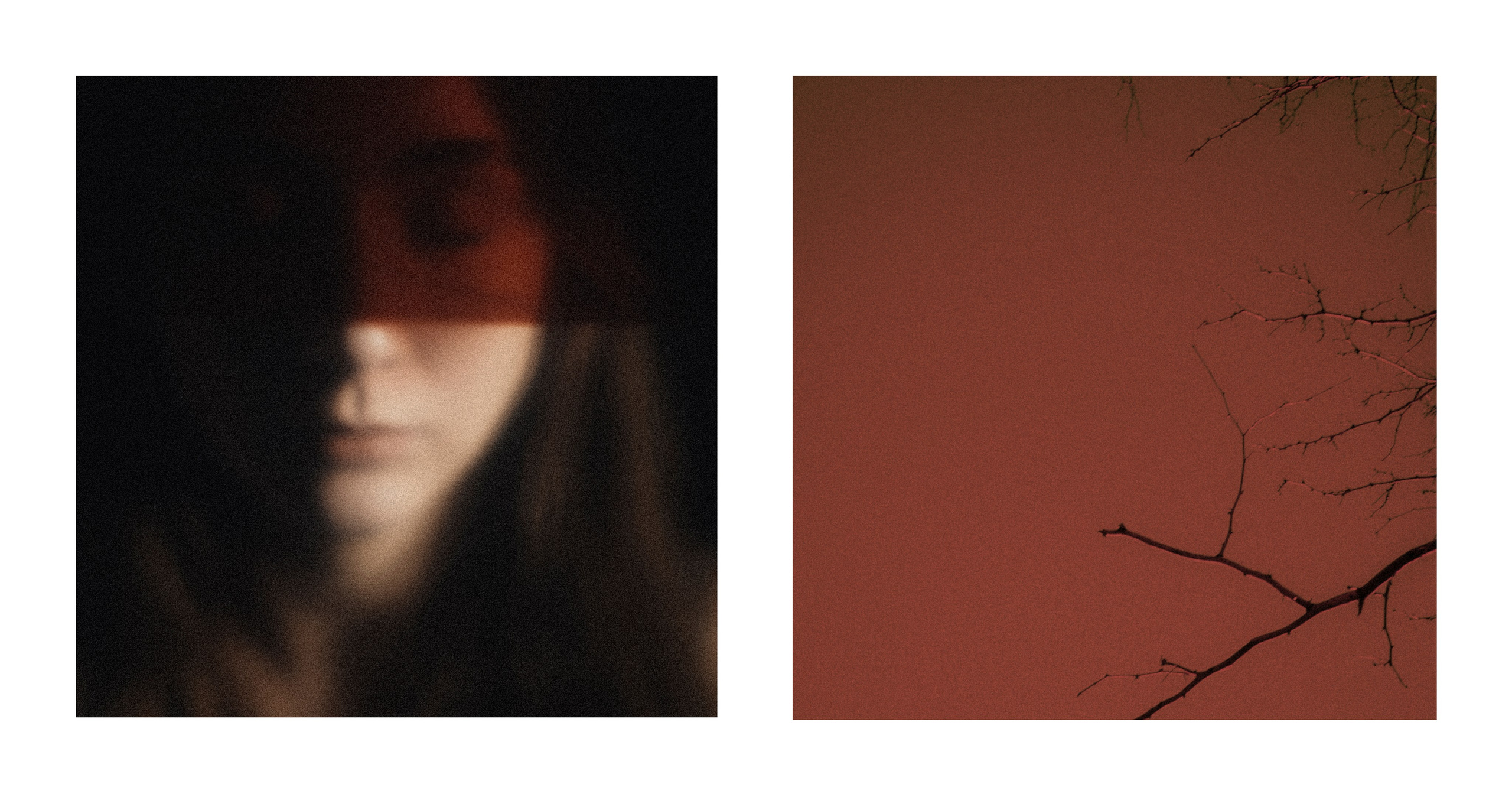 From the inside. VISUAL ARTIST · KRONGAUZ ANASTASIA