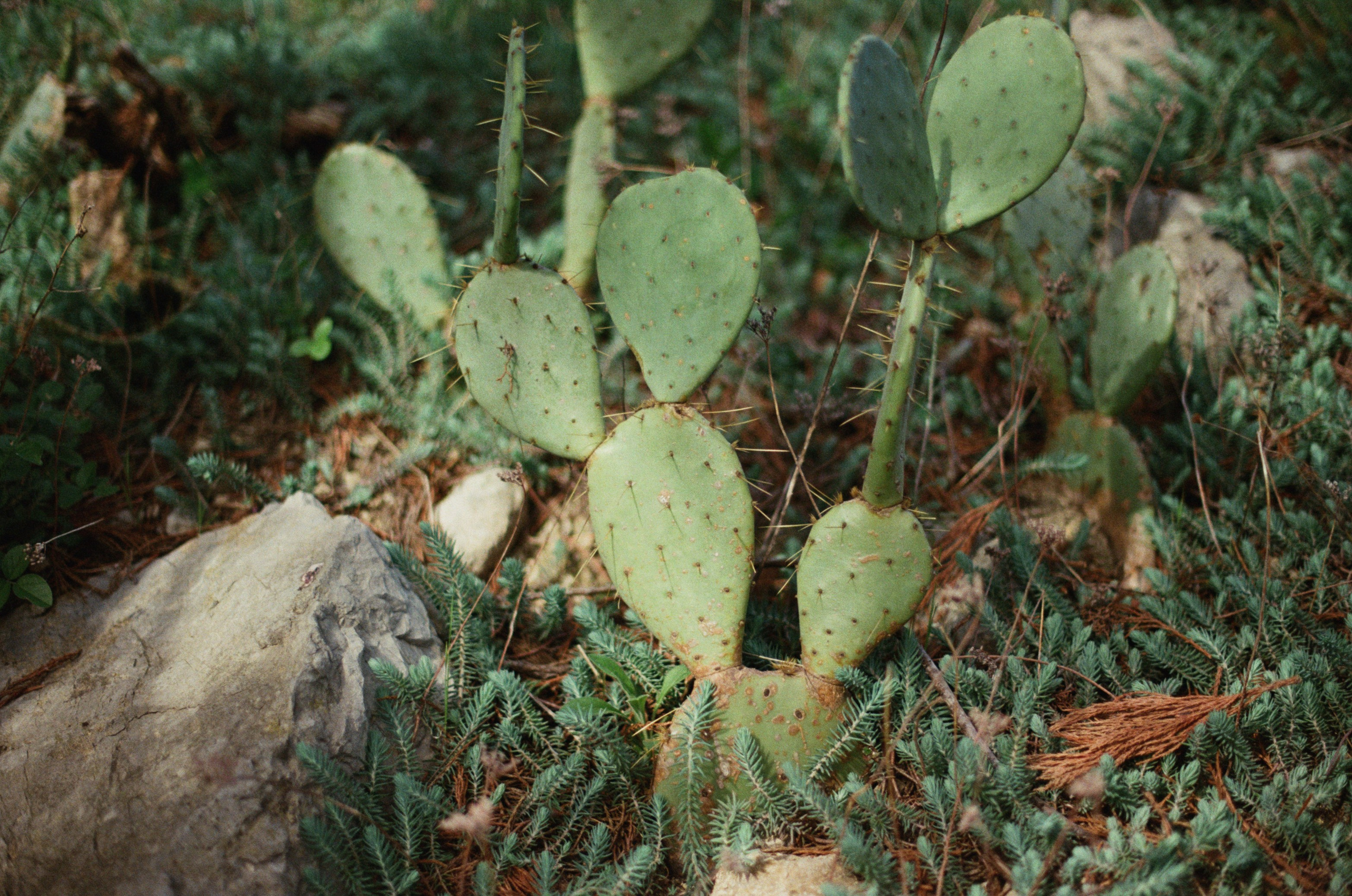 This time // ukraine, crimea III. EVER EXPOSED