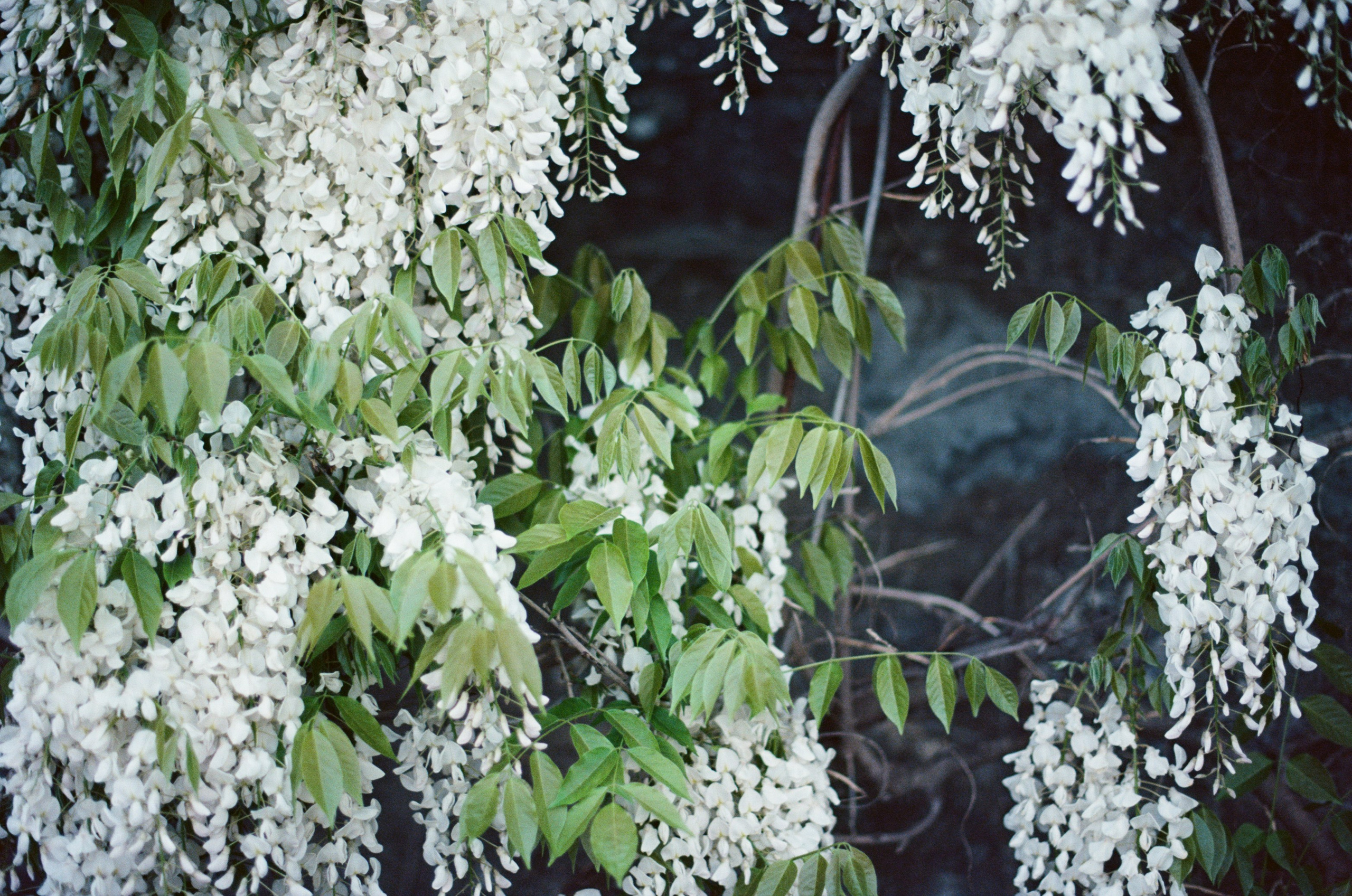 Follow you // ukraine, crimea IV. EVER EXPOSED