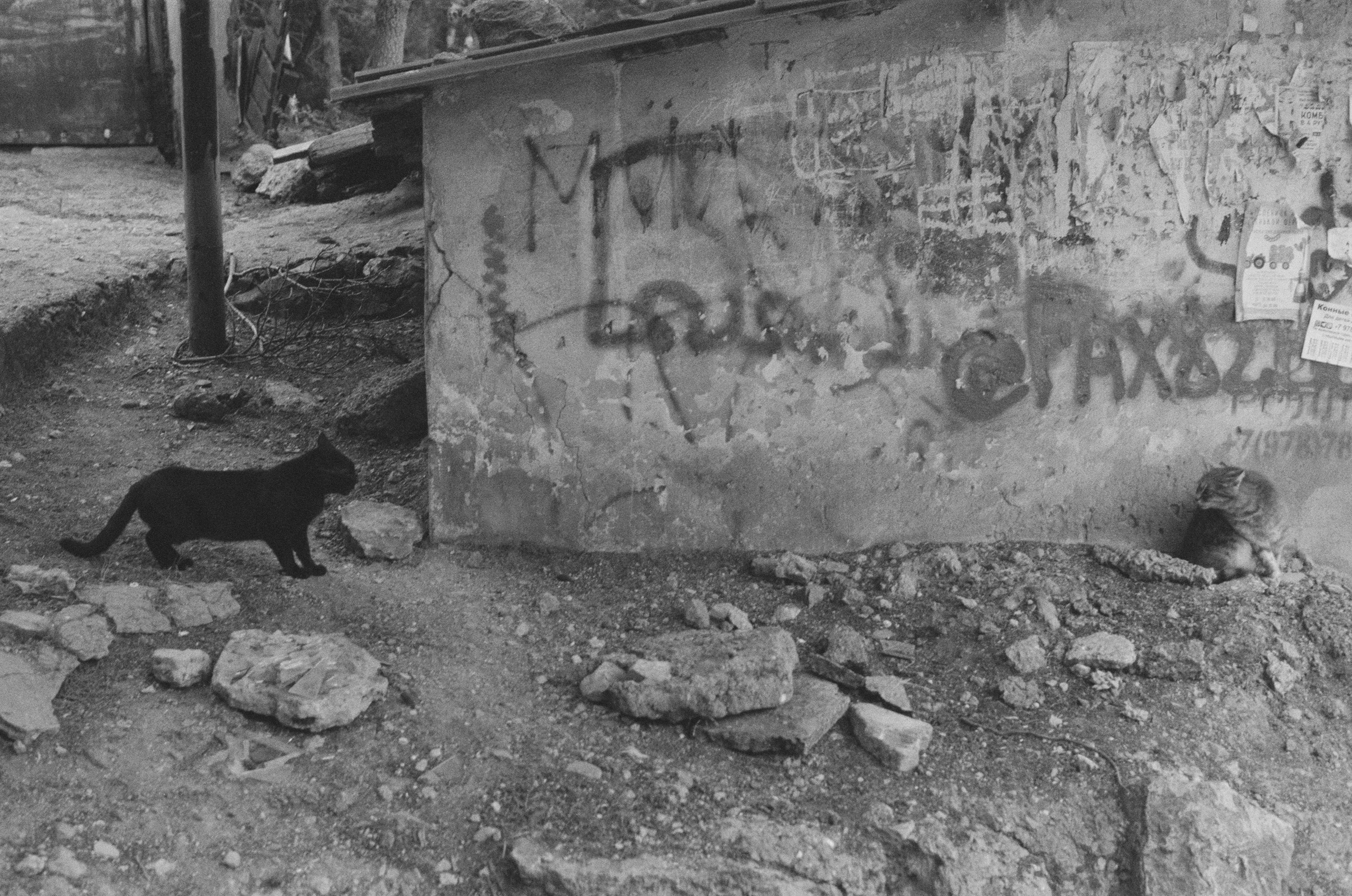 Plastinki // ukraine, crimea IV. EVER EXPOSED