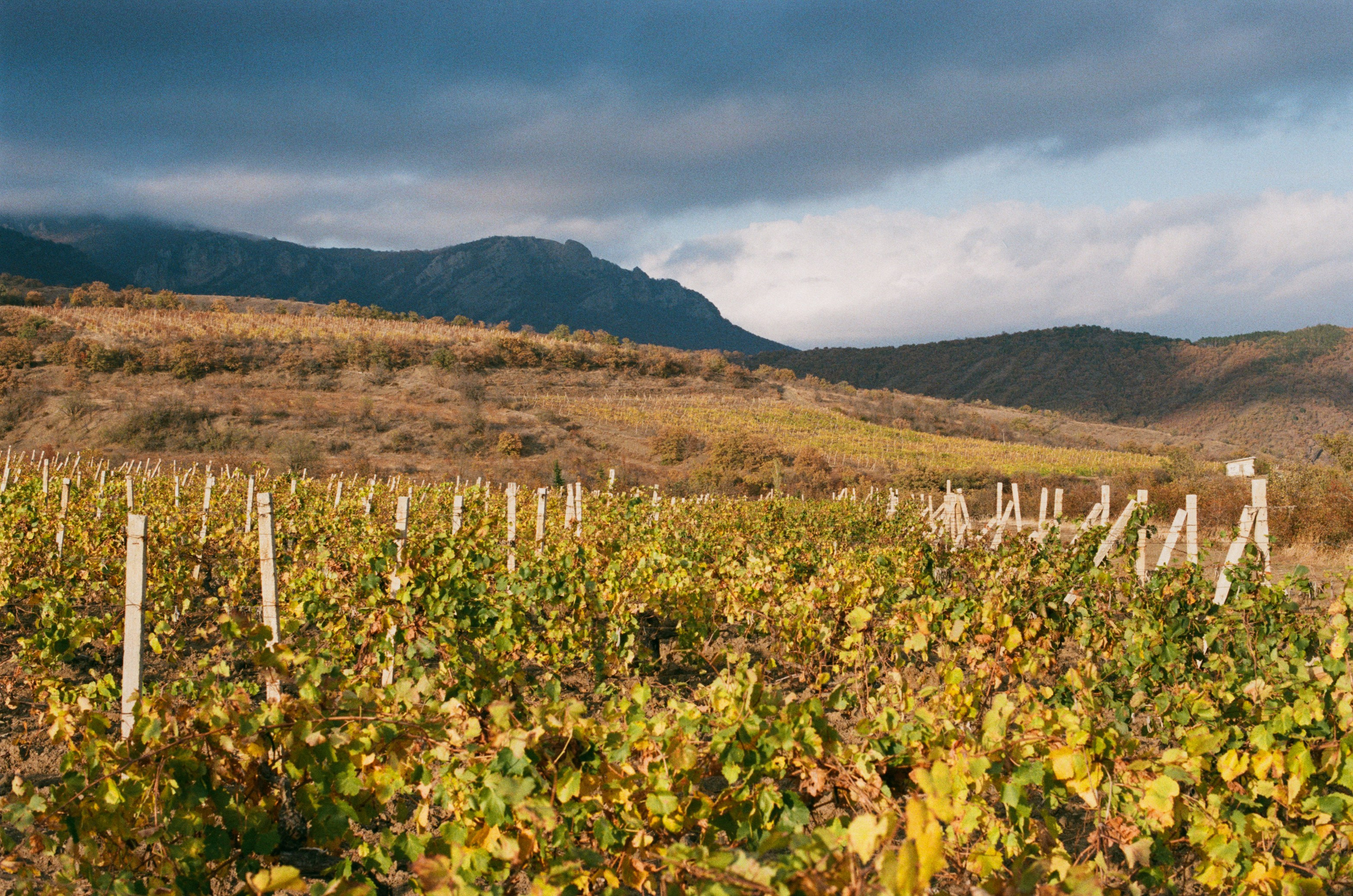 Wherever you will go // ukraine, crimea. EVER EXPOSED
