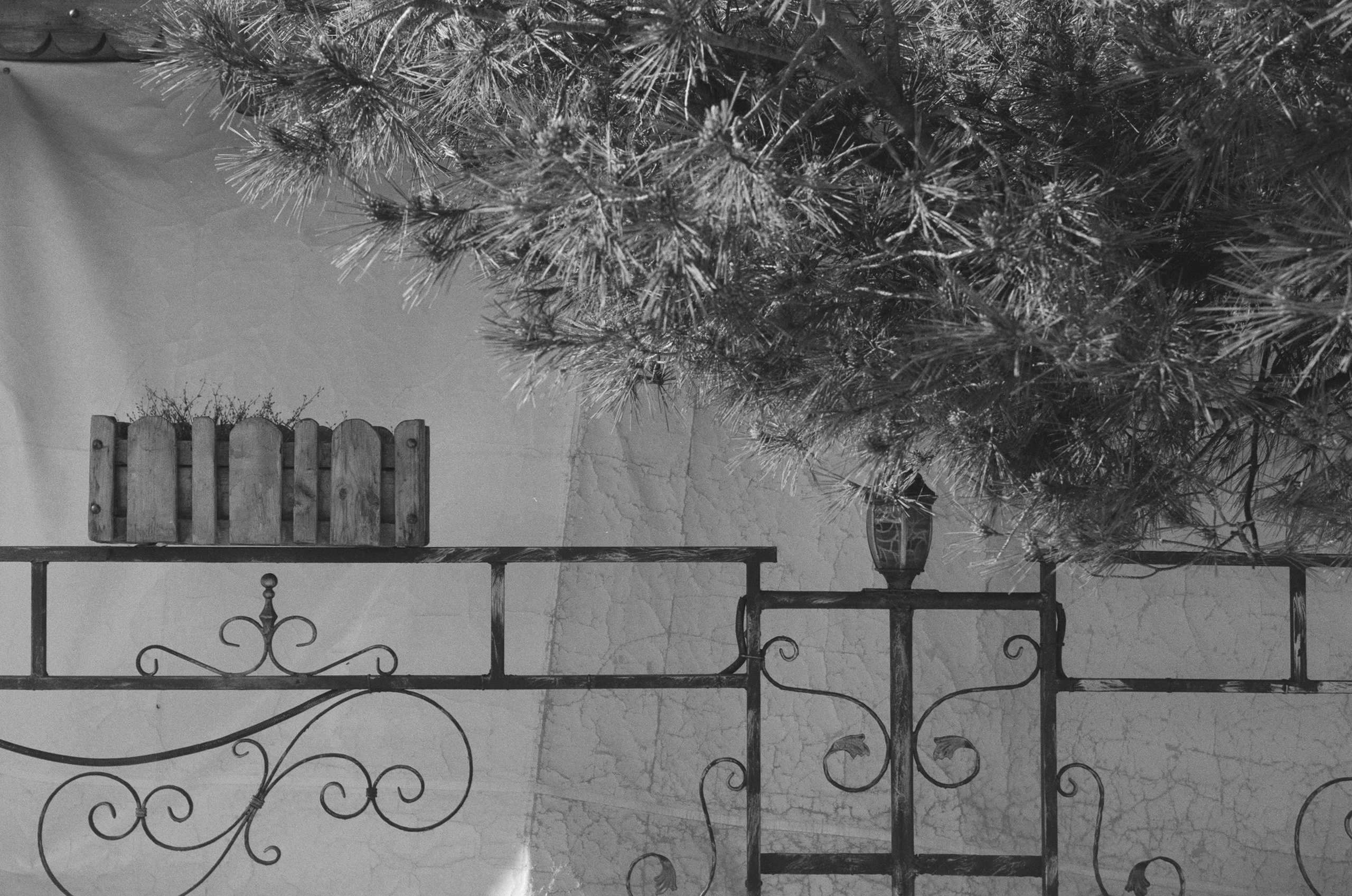 Plastinki // ukraine, crimea. EVER EXPOSED