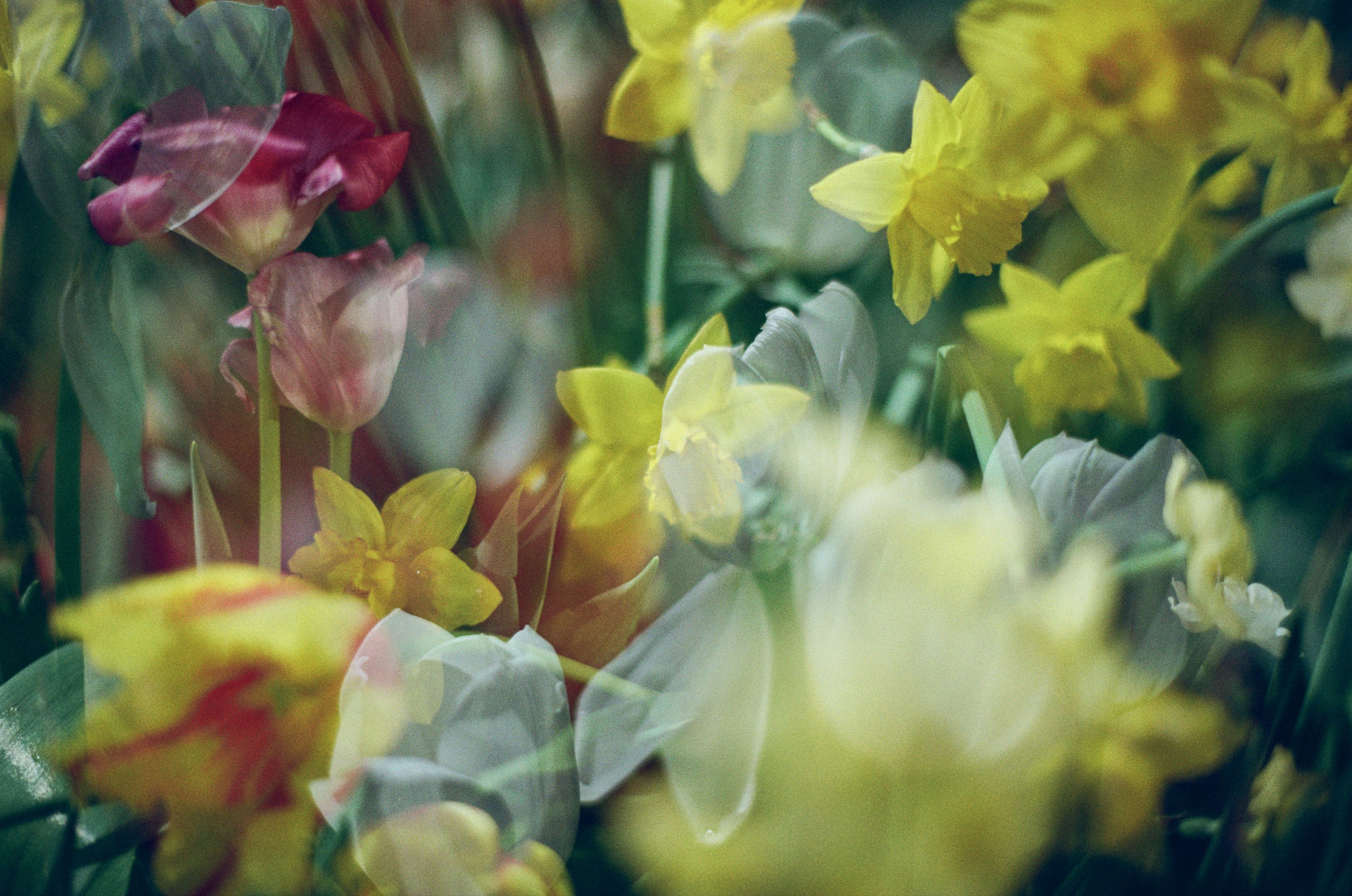 If i get high V. EVER EXPOSED