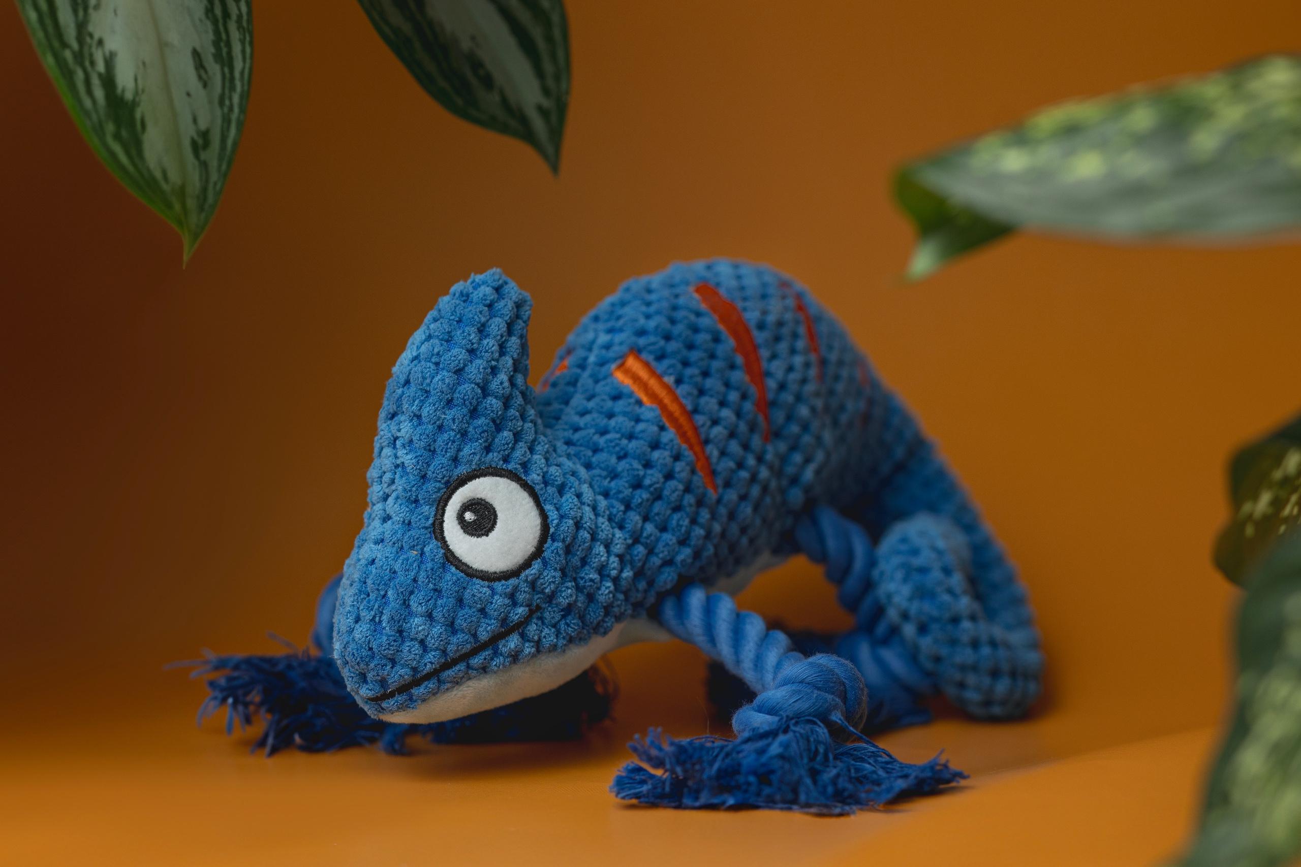 Для брендов. Фотограф анималист в Москве Майорова Евгения