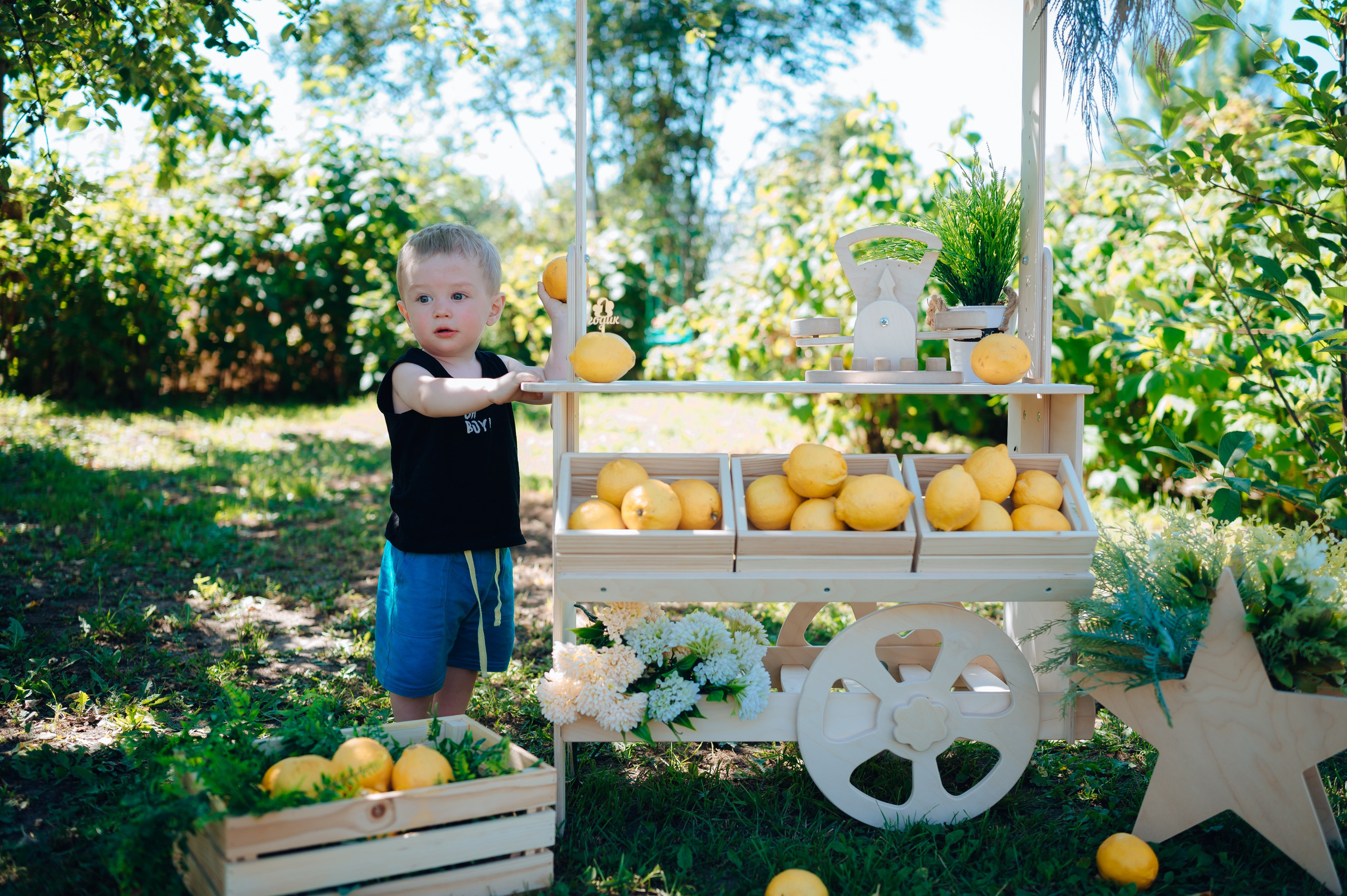 Ромашка. Детский и семейный фотограф Катерина Мишина
