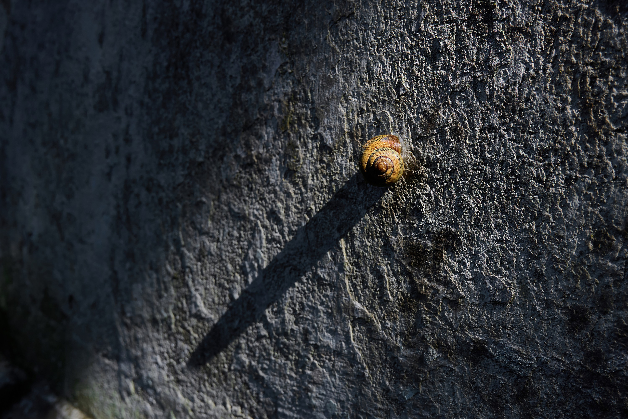 Текстуры — природа. Яркие фото на Чёрном море