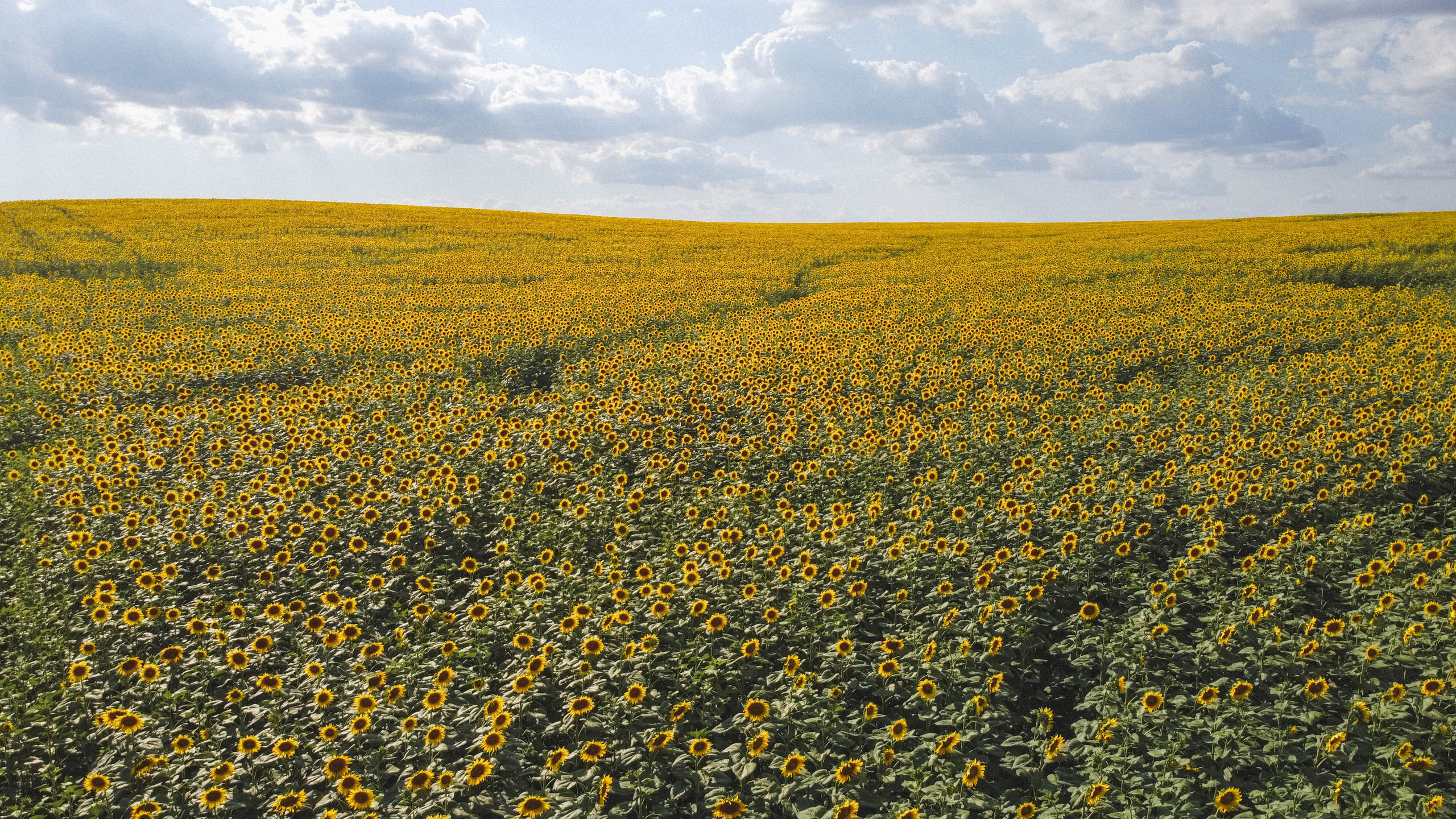 Nature. Артем Корнев Фотограф