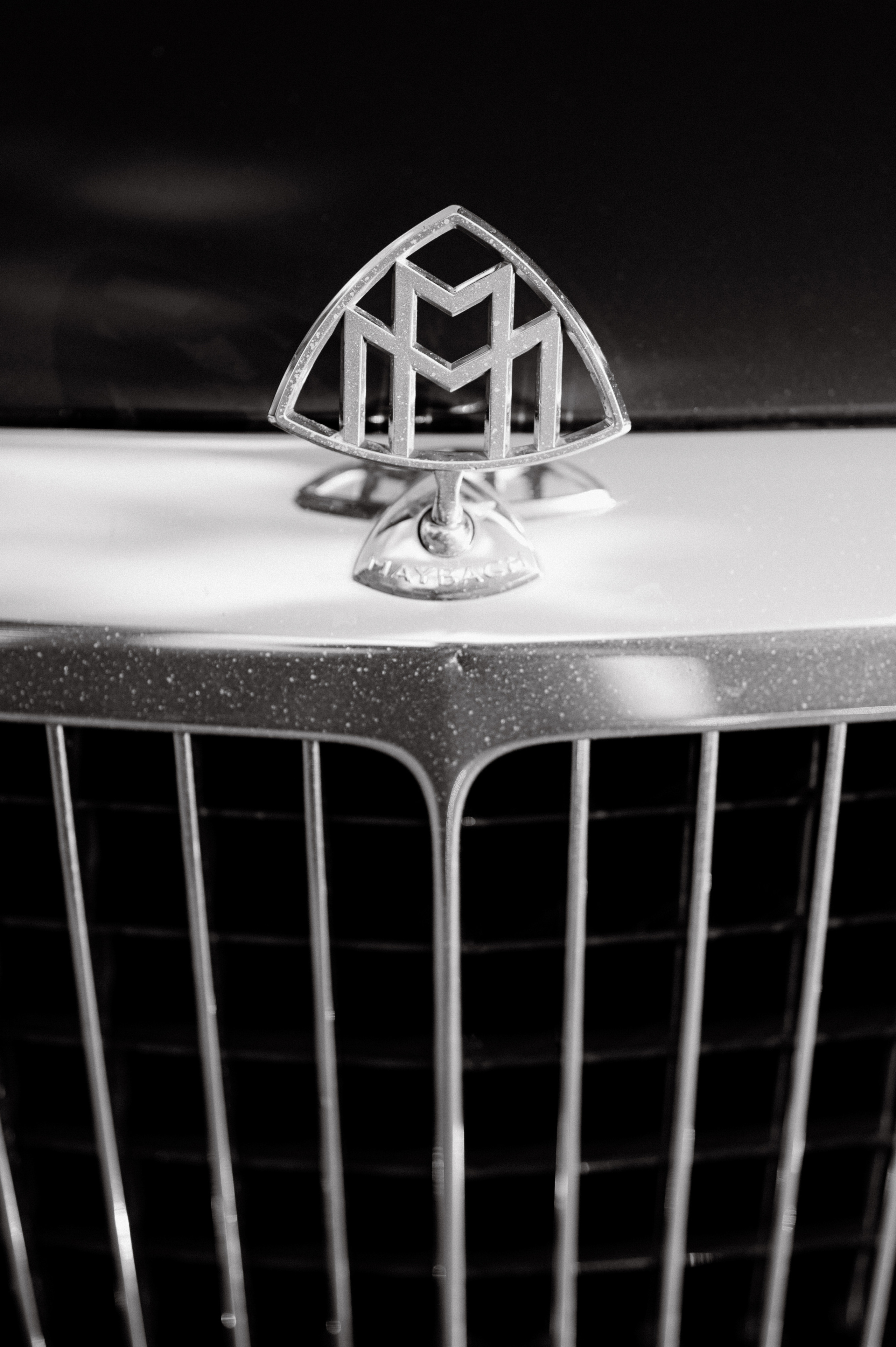 ПОЛИНА И АНТОН. Свадебный и семейный фотограф Никита Корохов