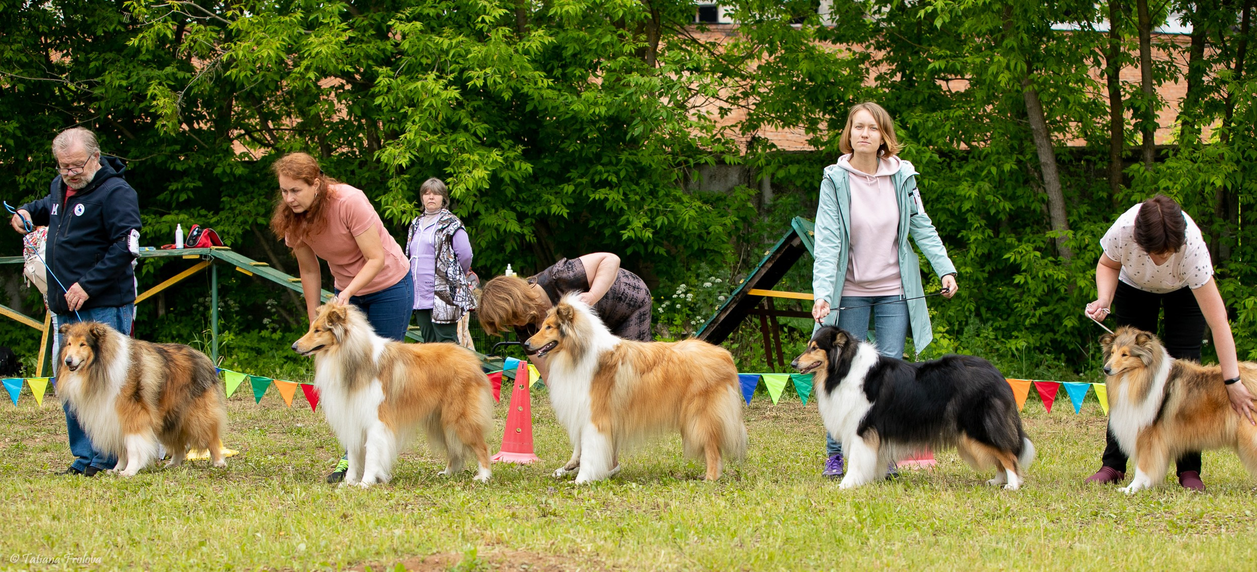 Фотосопровождение выставки собак в Московской области и Москве. Фотограф-анималист в Москве и Московской области Татьяна Фролова