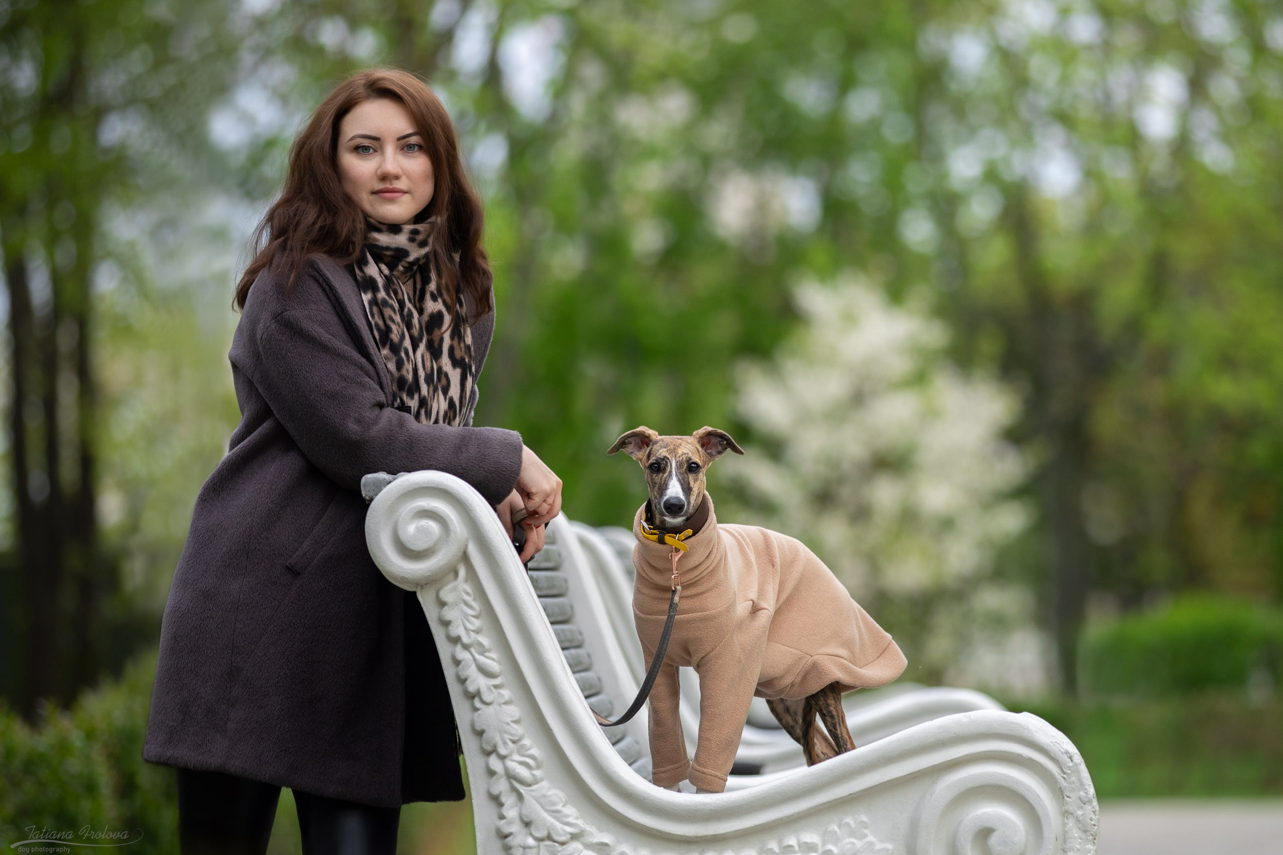 Городская фотопрогулка для Насти и щенка уиппета Корицы. Фотограф-анималист в Москве и Московской области Татьяна Фролова